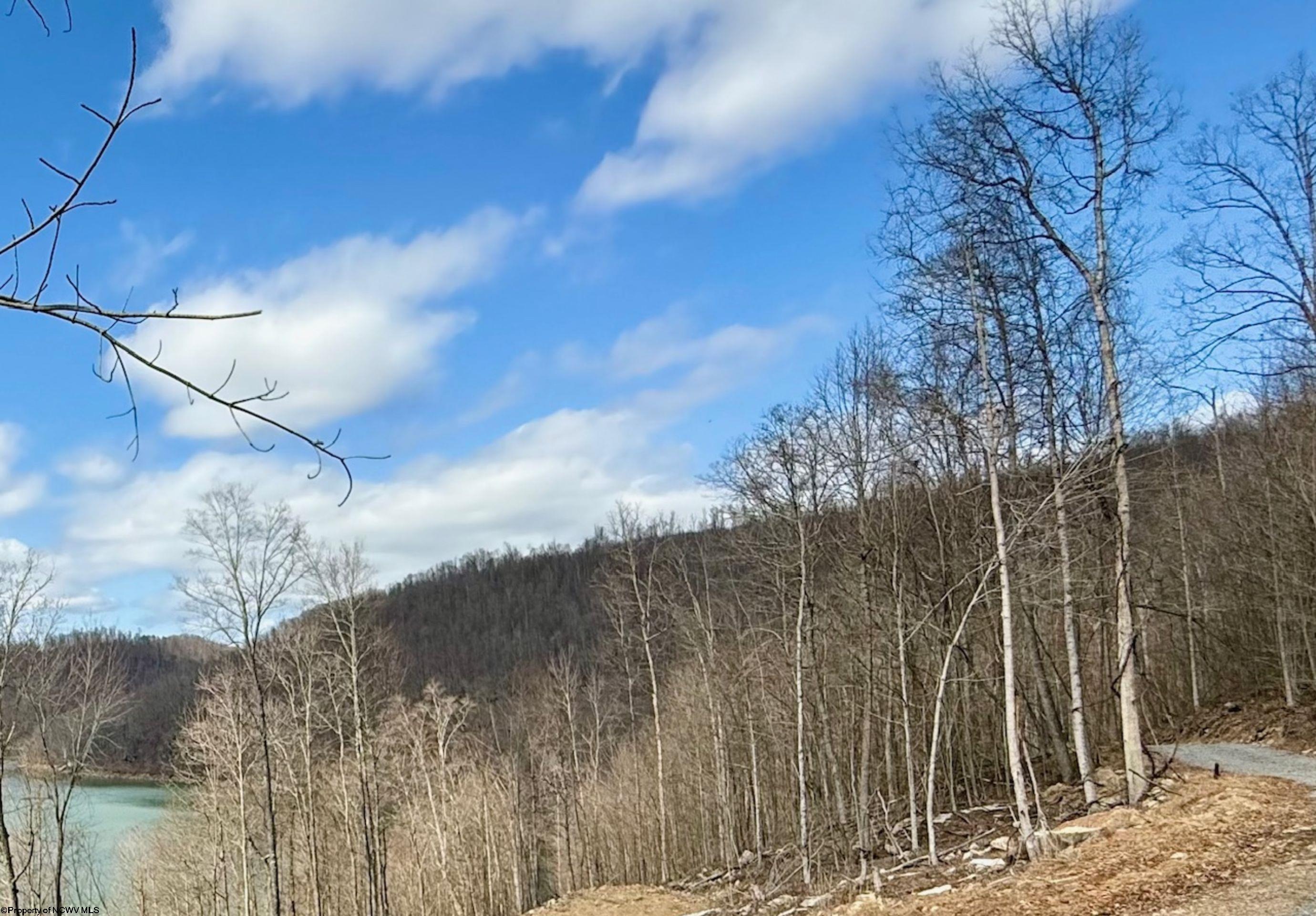 Lot 4 Brooklyn Road Parsons, WV 26287 - Photo 11 of 14 Gallery Image 11