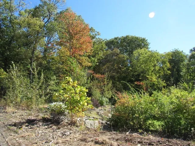 $300,000 | 7 Quarry Hill Lane, Blackstone, MA 01504