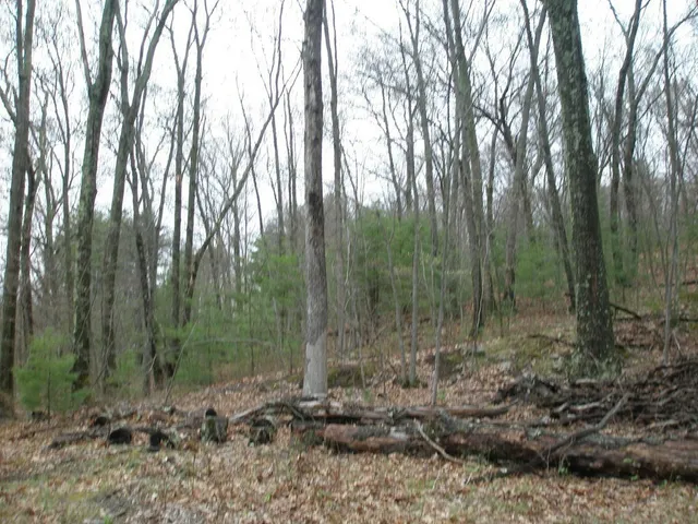 $300,000 | 7 Quarry Hill Lane, Blackstone, MA 01504