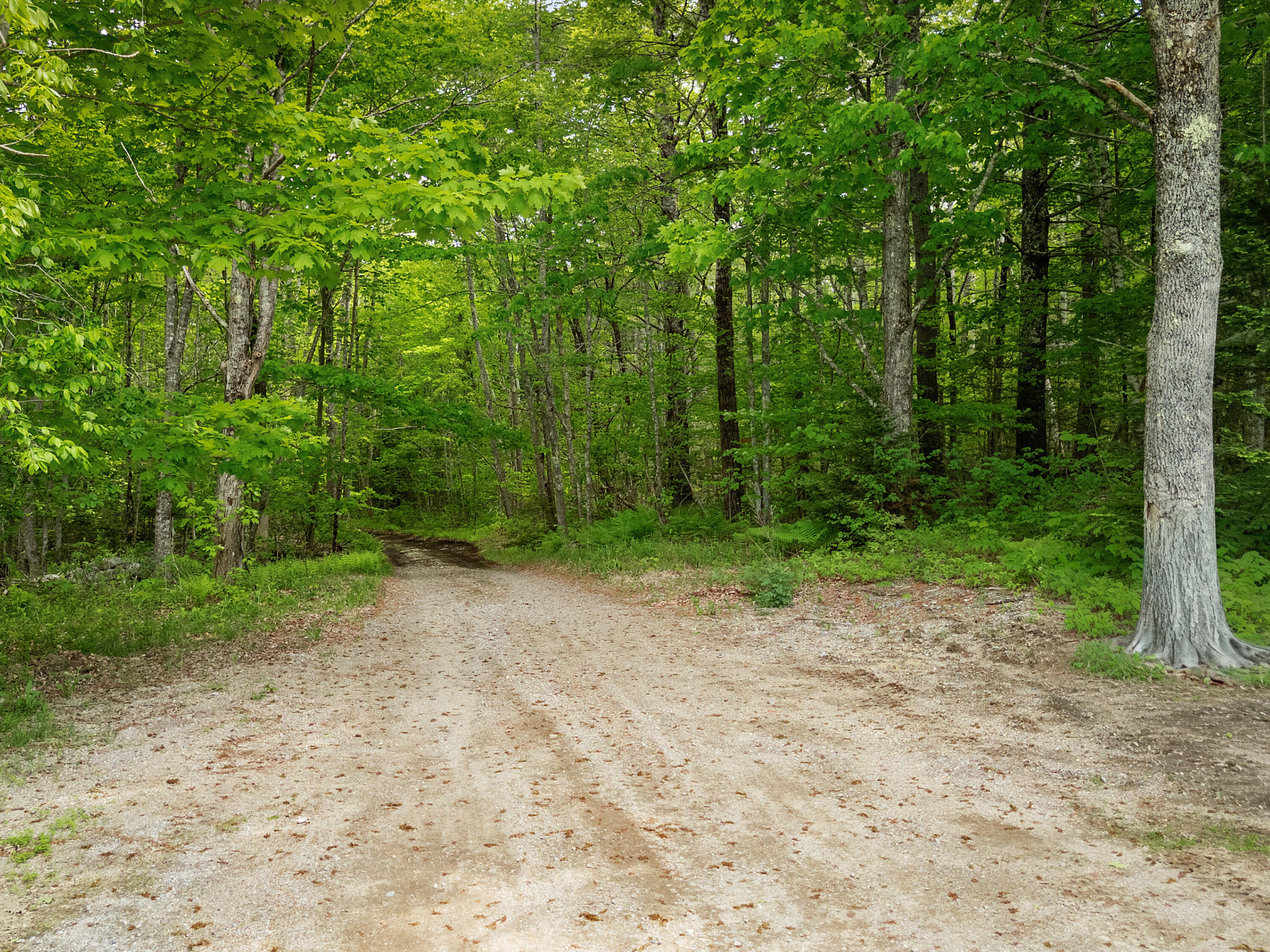 479 Niilo Hill Road Warren, ME 04864 - Photo 51 of 52 DJI_20260527131114_0970_D