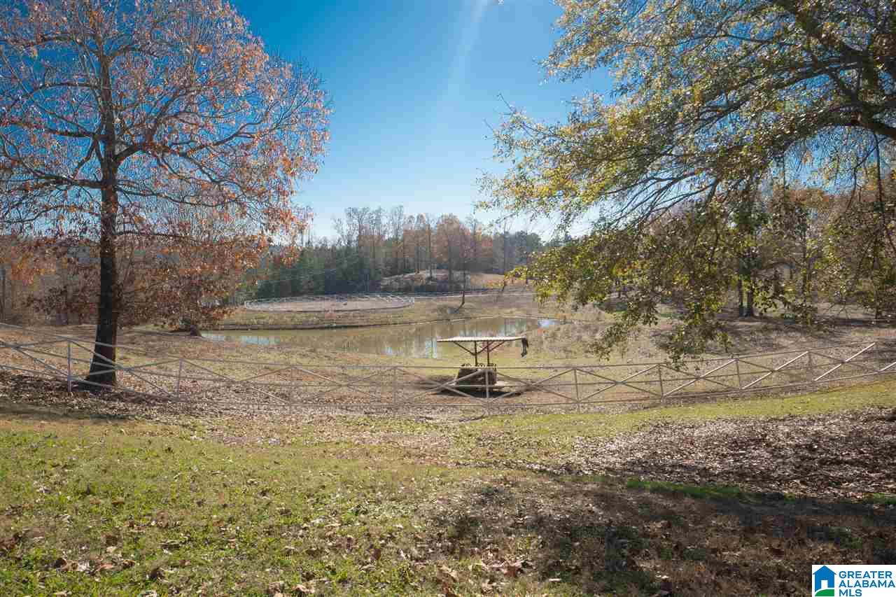 501 4 Wing Lake Road Alabaster, AL 35007 - Photo 9 of 50