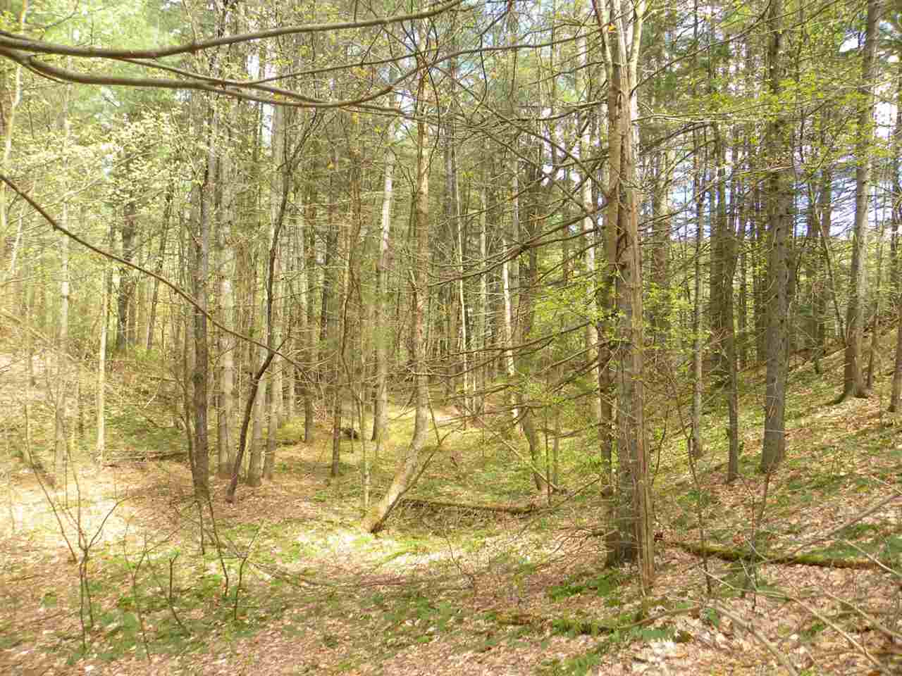 14 Route Albany Vt 05845 Albany, VT 05820 - Photo 4 of 18