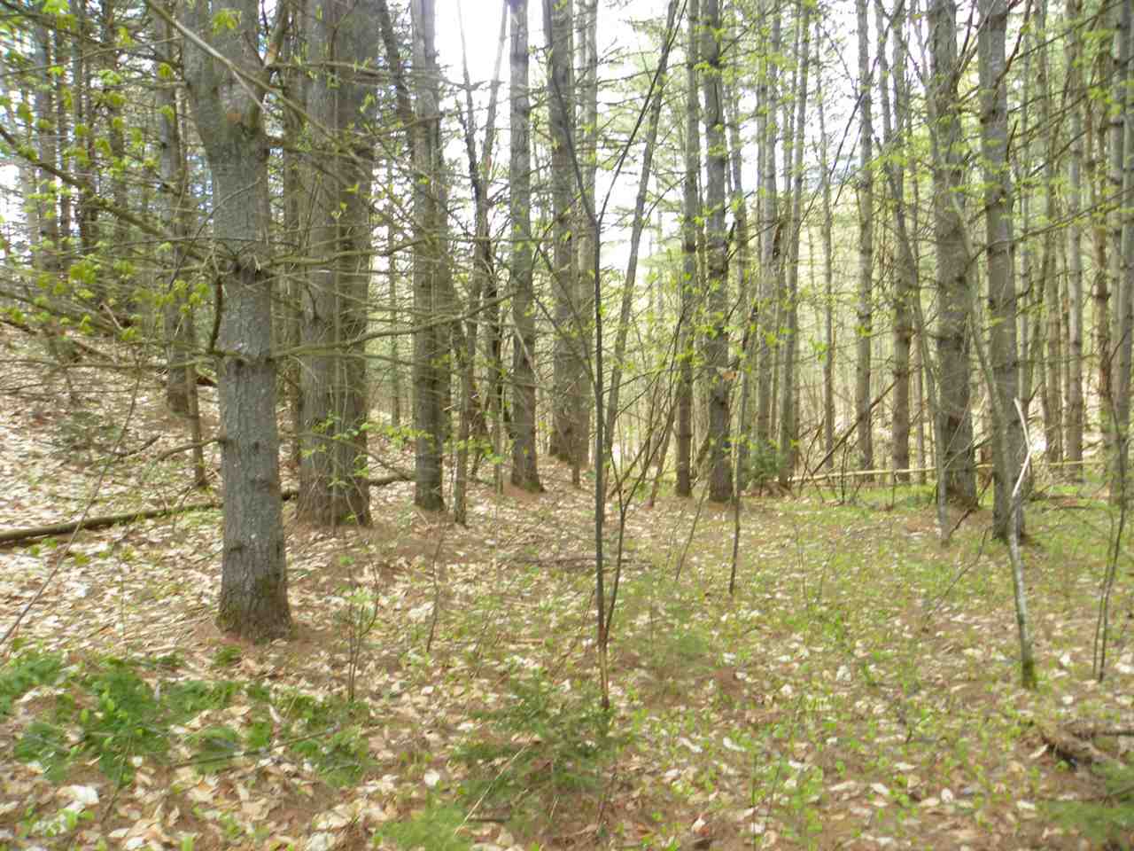 14 Route Albany Vt 05845 Albany, VT 05820 - Photo 5 of 18