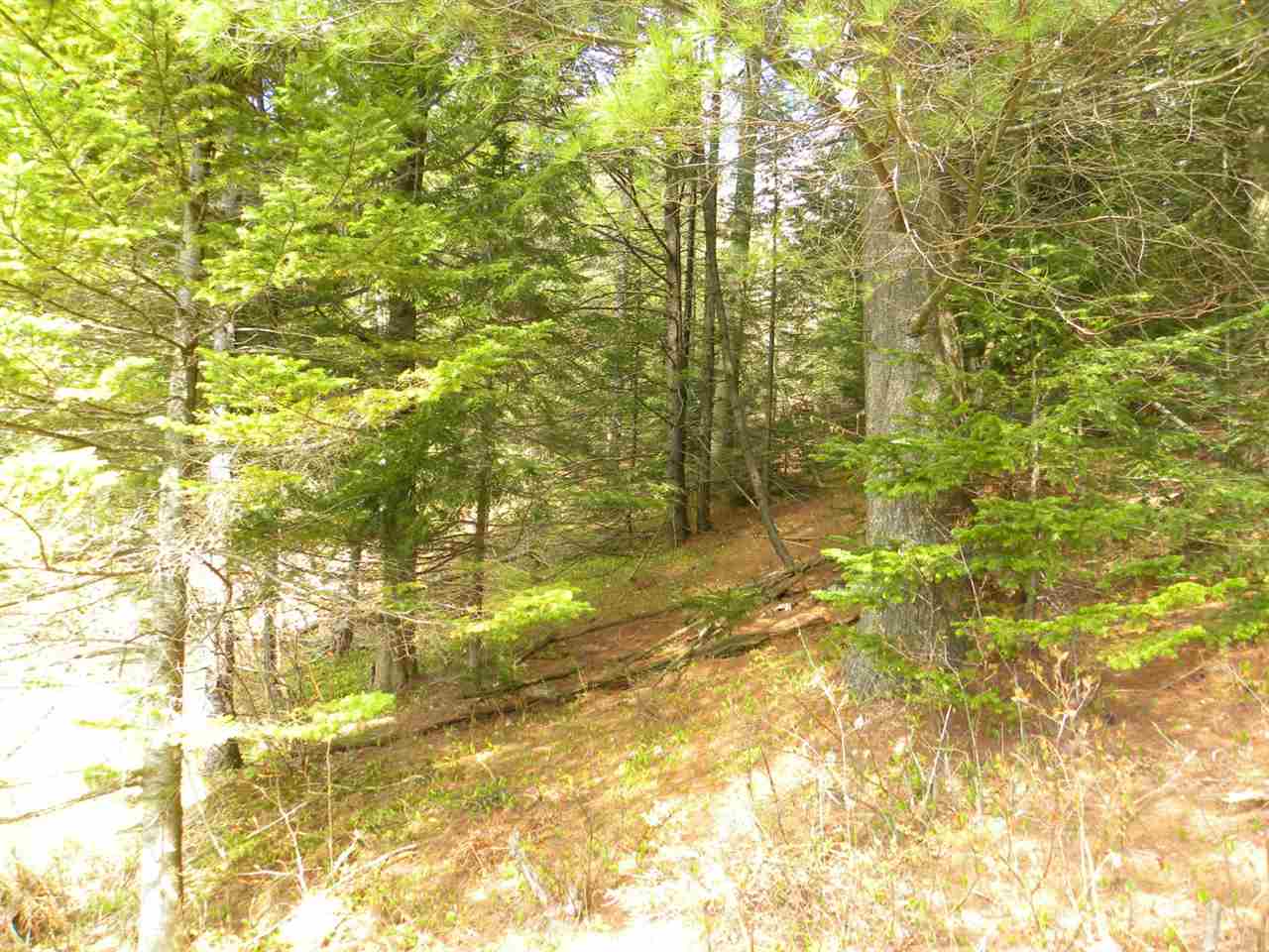 14 Route Albany Vt 05845 Albany, VT 05820 - Photo 6 of 18