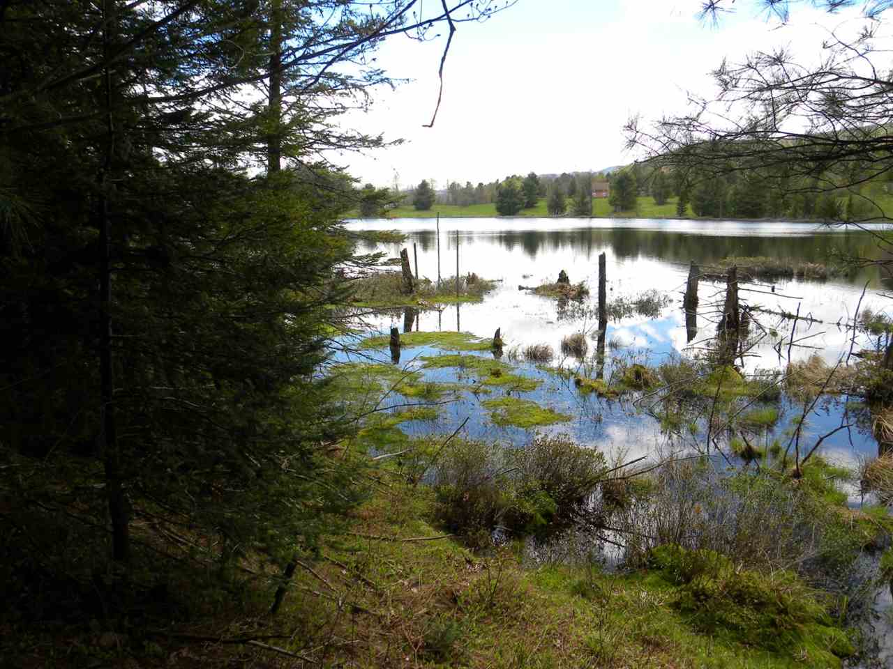 14 Route Albany Vt 05845 Albany, VT 05820 - Photo 8 of 18