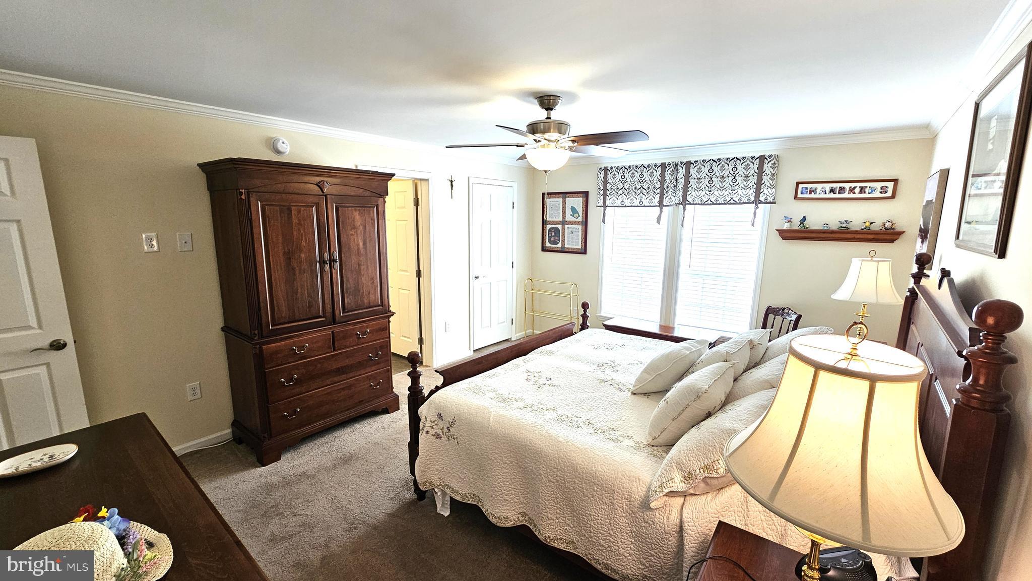 1223 Media Road Smyrna, DE 19977 - Photo 23 of 41 Owner's Suite - Ceiling Fan with Lights