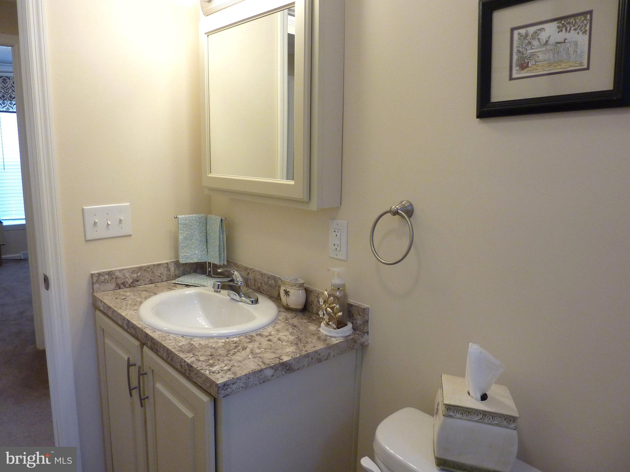 1223 Media Road Smyrna, DE 19977 - Photo 34 of 41 Hall Bath - Medicine Cabinet