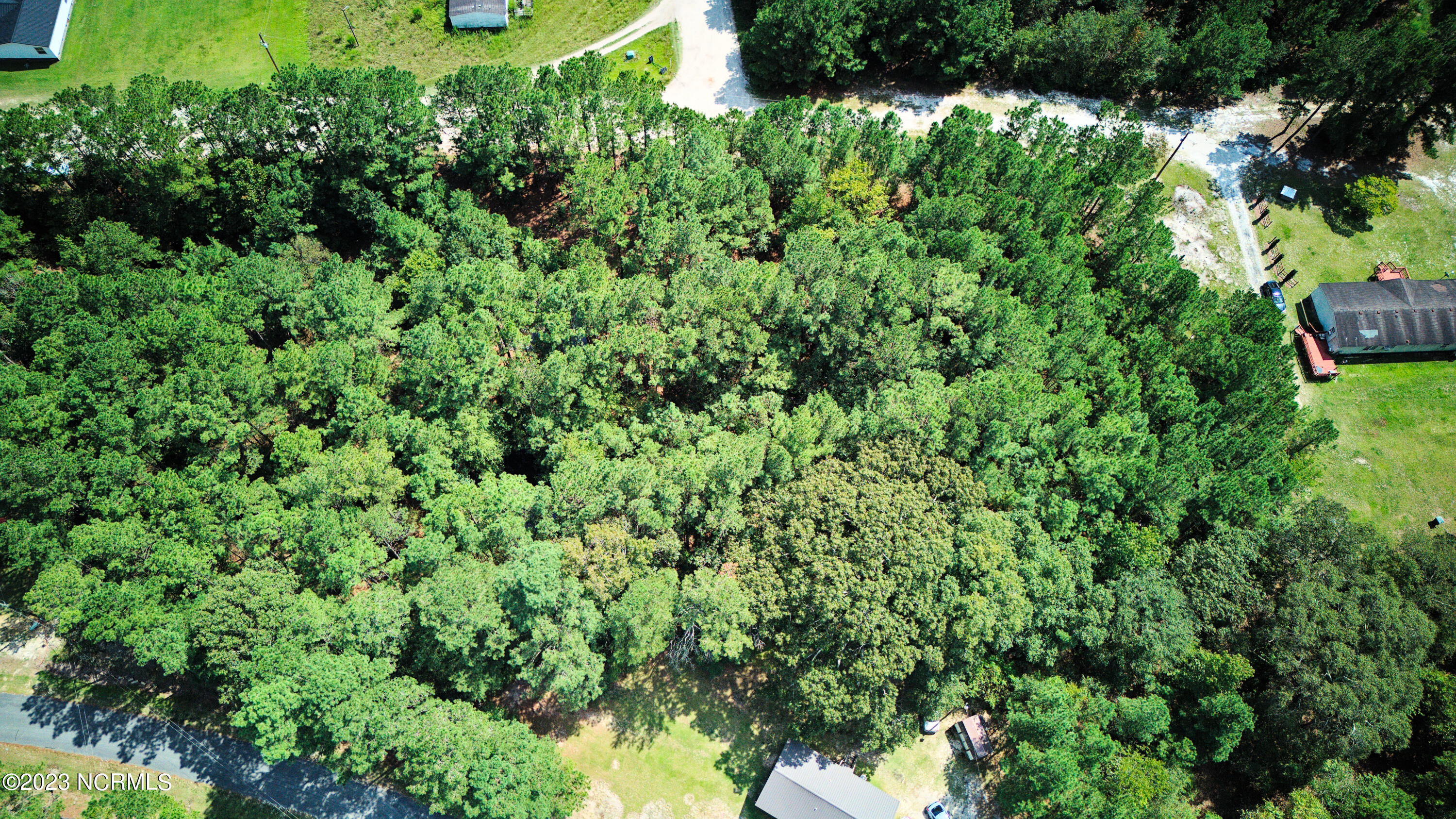 Tbd Browns Creek Church Road Elizabethtown, NC 28337 - Photo 11 of 51 12BladenNC