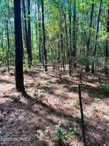$25,000 | Tbd Browns Creek Church Road, Elizabethtown, NC 28337