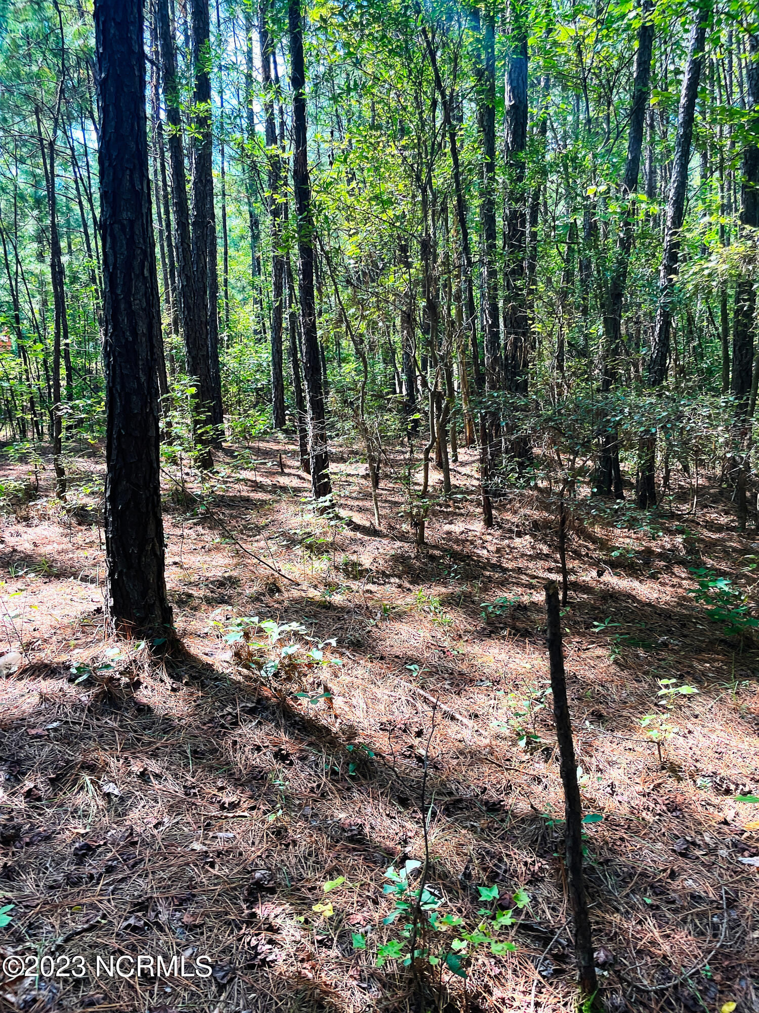 Tbd Browns Creek Church Road Elizabethtown, NC 28337 - Photo 19 of 51 BladenNC_0032