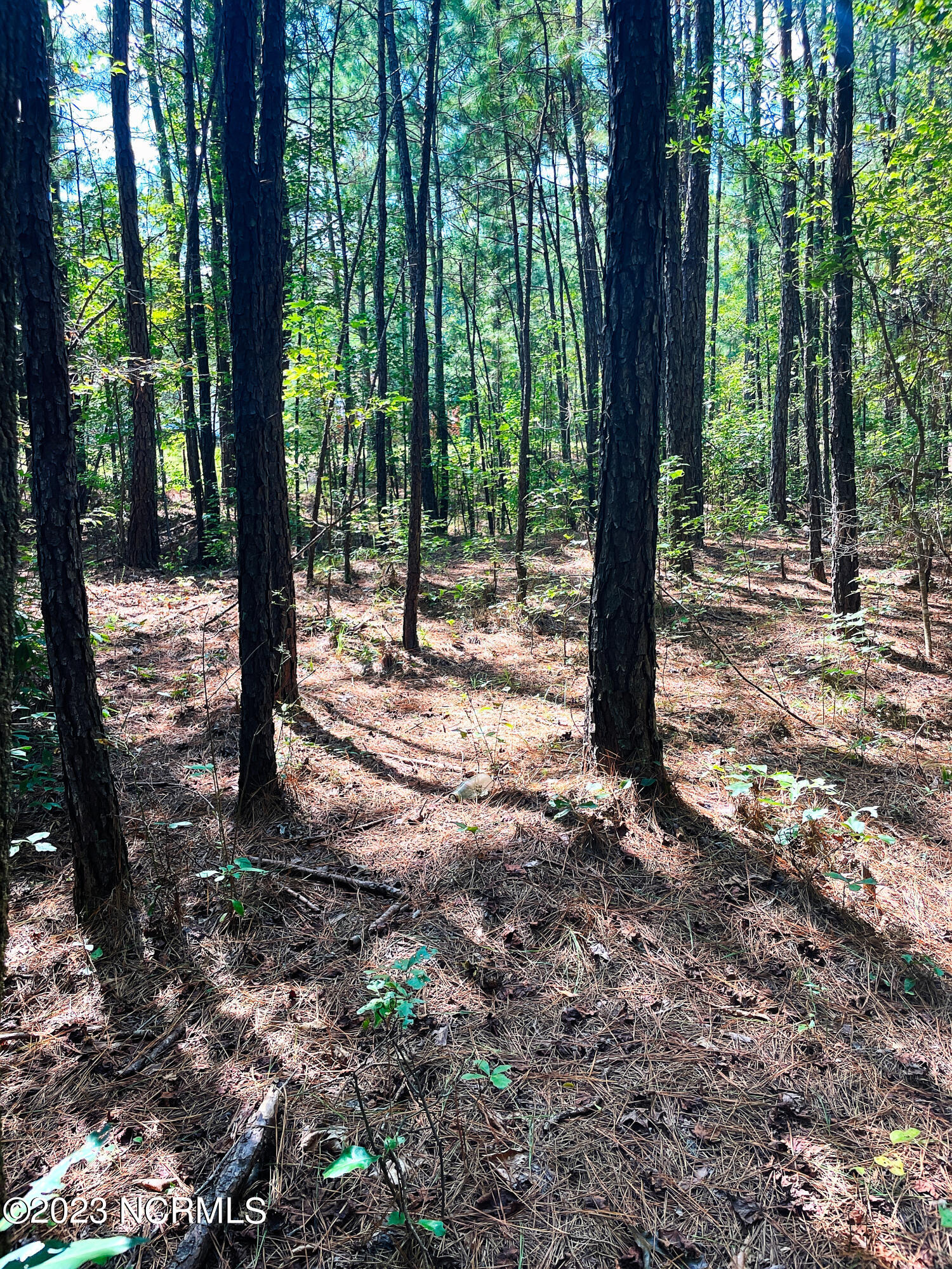 Tbd Browns Creek Church Road Elizabethtown, NC 28337 - Photo 20 of 51 BladenNC_0031