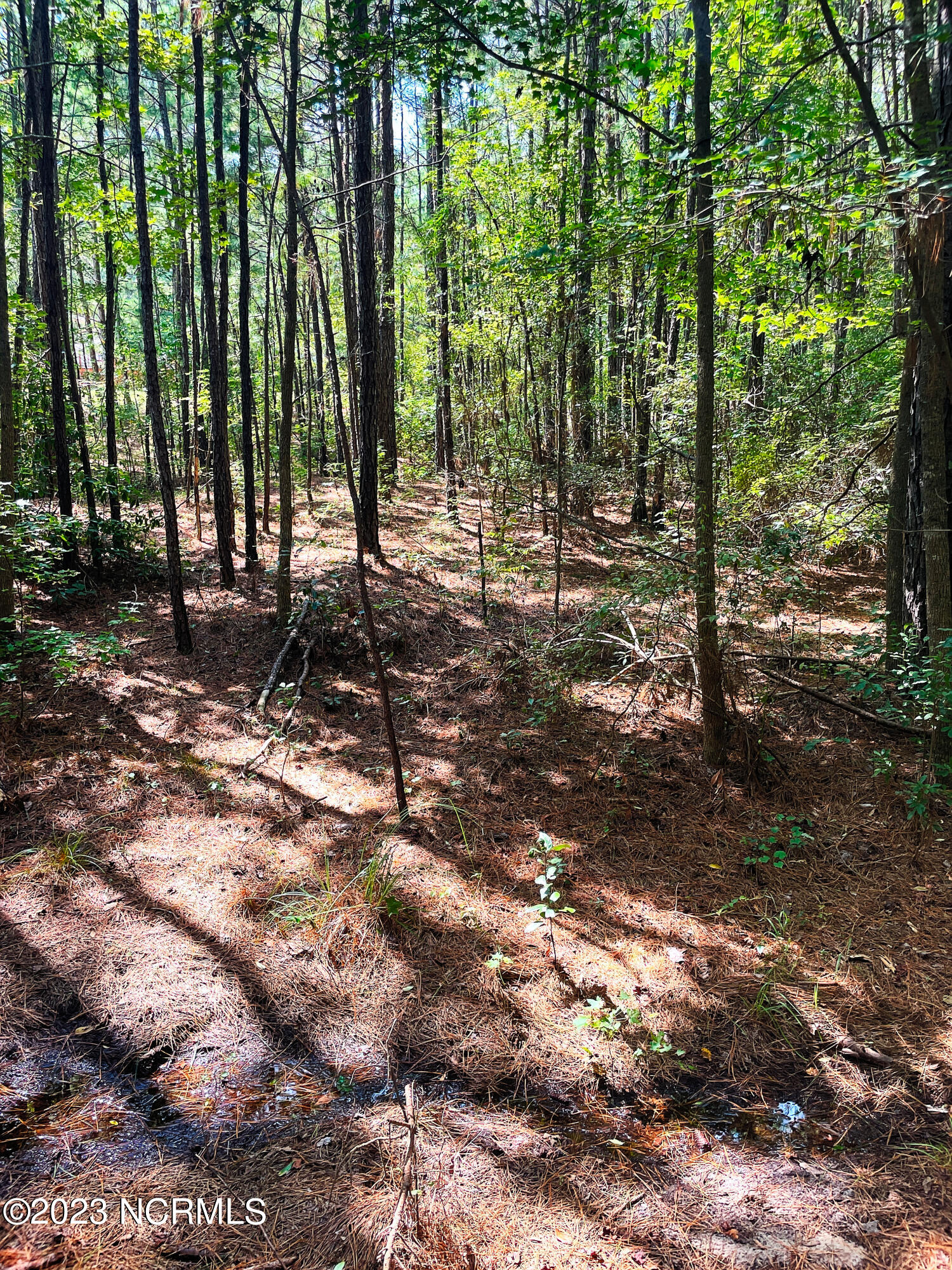 Tbd Browns Creek Church Road Elizabethtown, NC 28337 - Photo 21 of 51 BladenNC_0030