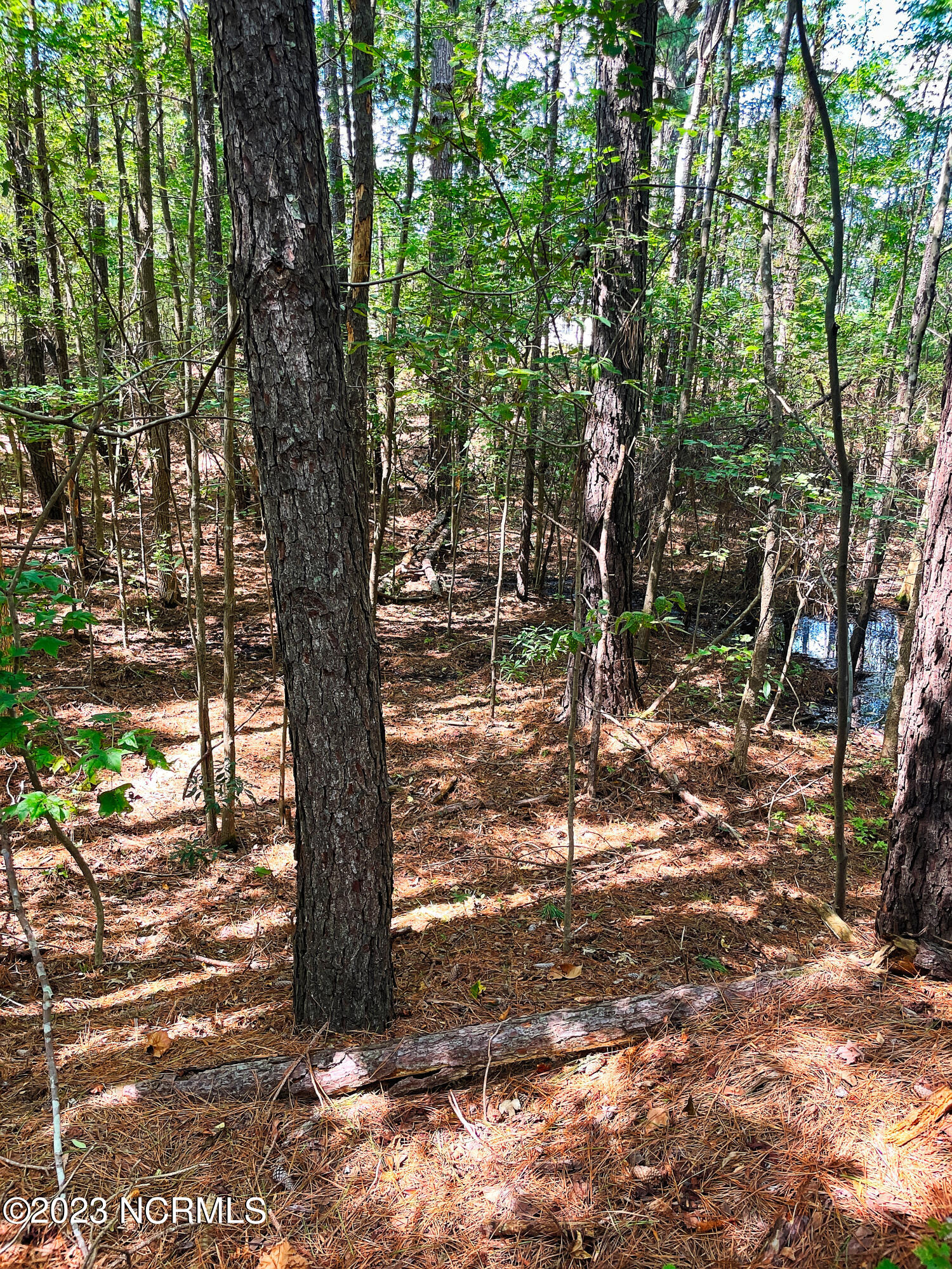Tbd Browns Creek Church Road Elizabethtown, NC 28337 - Photo 22 of 51 BladenNC_0029