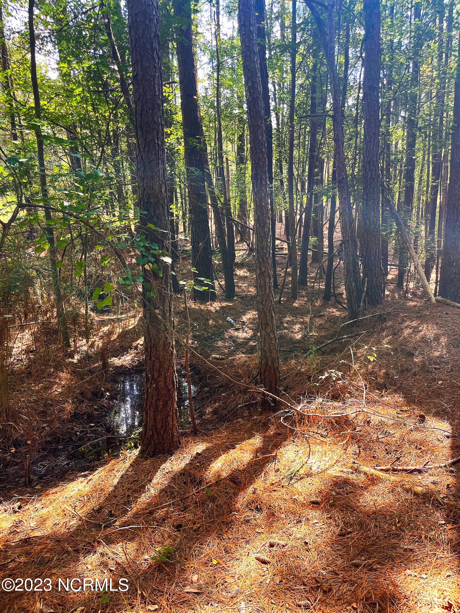 Tbd Browns Creek Church Road Elizabethtown, NC 28337 - Photo 23 of 51 BladenNC_0028