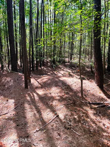 $25,000 | Tbd Browns Creek Church Road, Elizabethtown, NC 28337