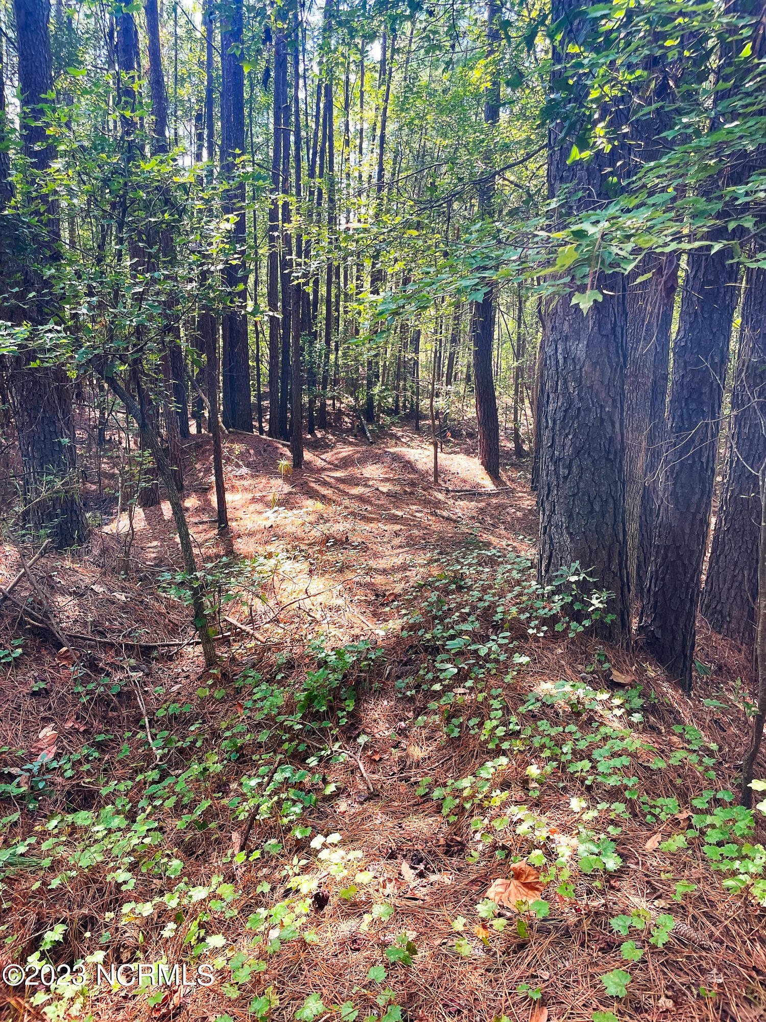 Tbd Browns Creek Church Road Elizabethtown, NC 28337 - Photo 25 of 51 BladenNC_0026