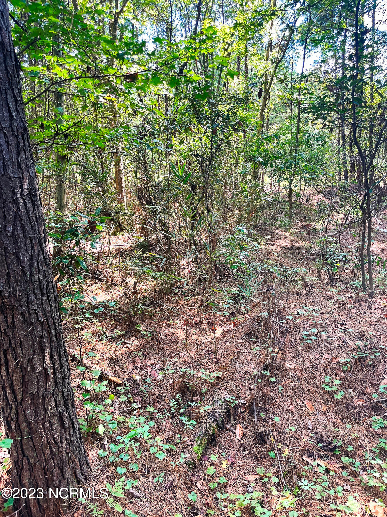 Tbd Browns Creek Church Road Elizabethtown, NC 28337 - Photo 26 of 51 BladenNC_0025