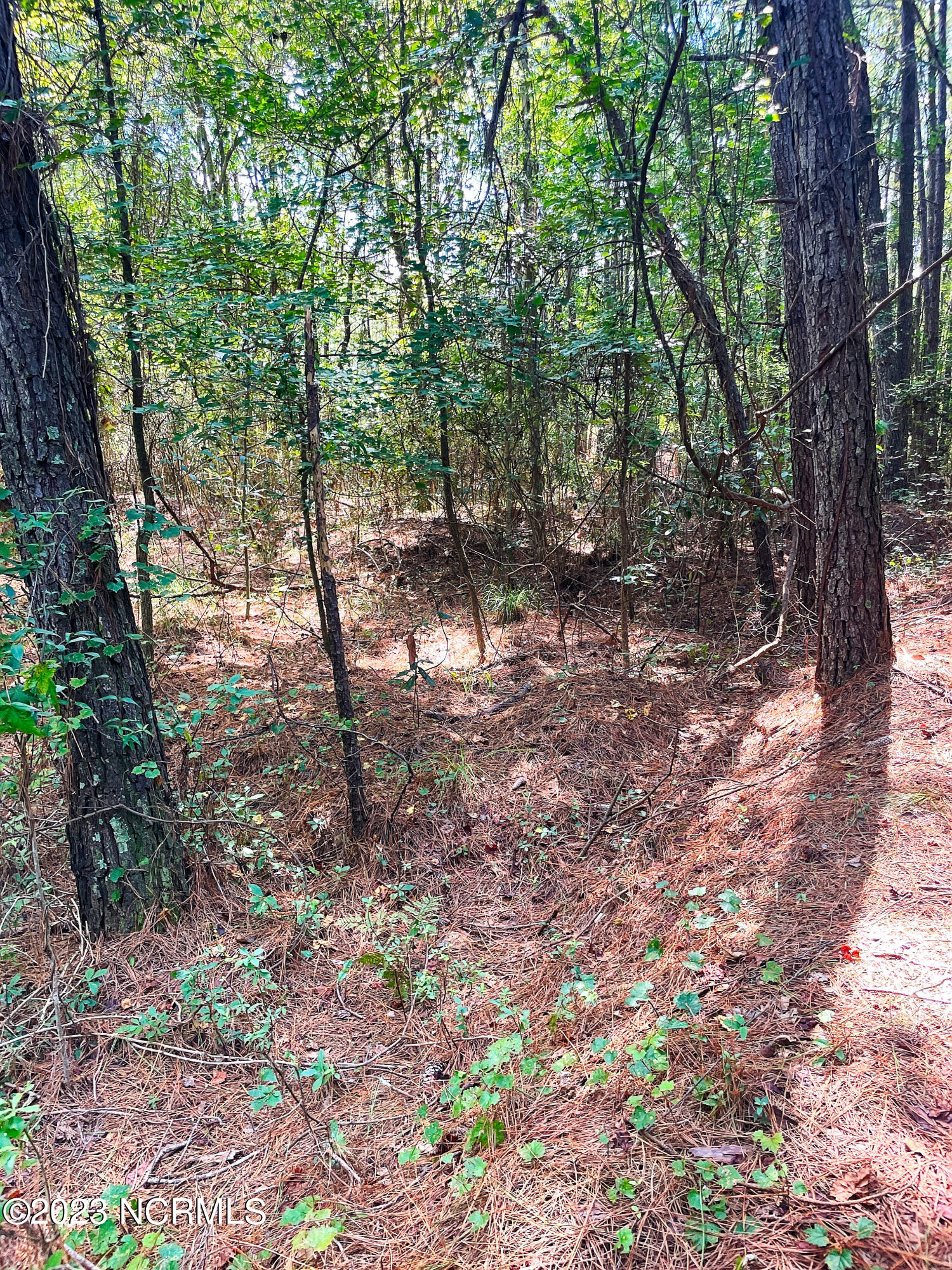 Tbd Browns Creek Church Road Elizabethtown, NC 28337 - Photo 27 of 51 BladenNC_0024