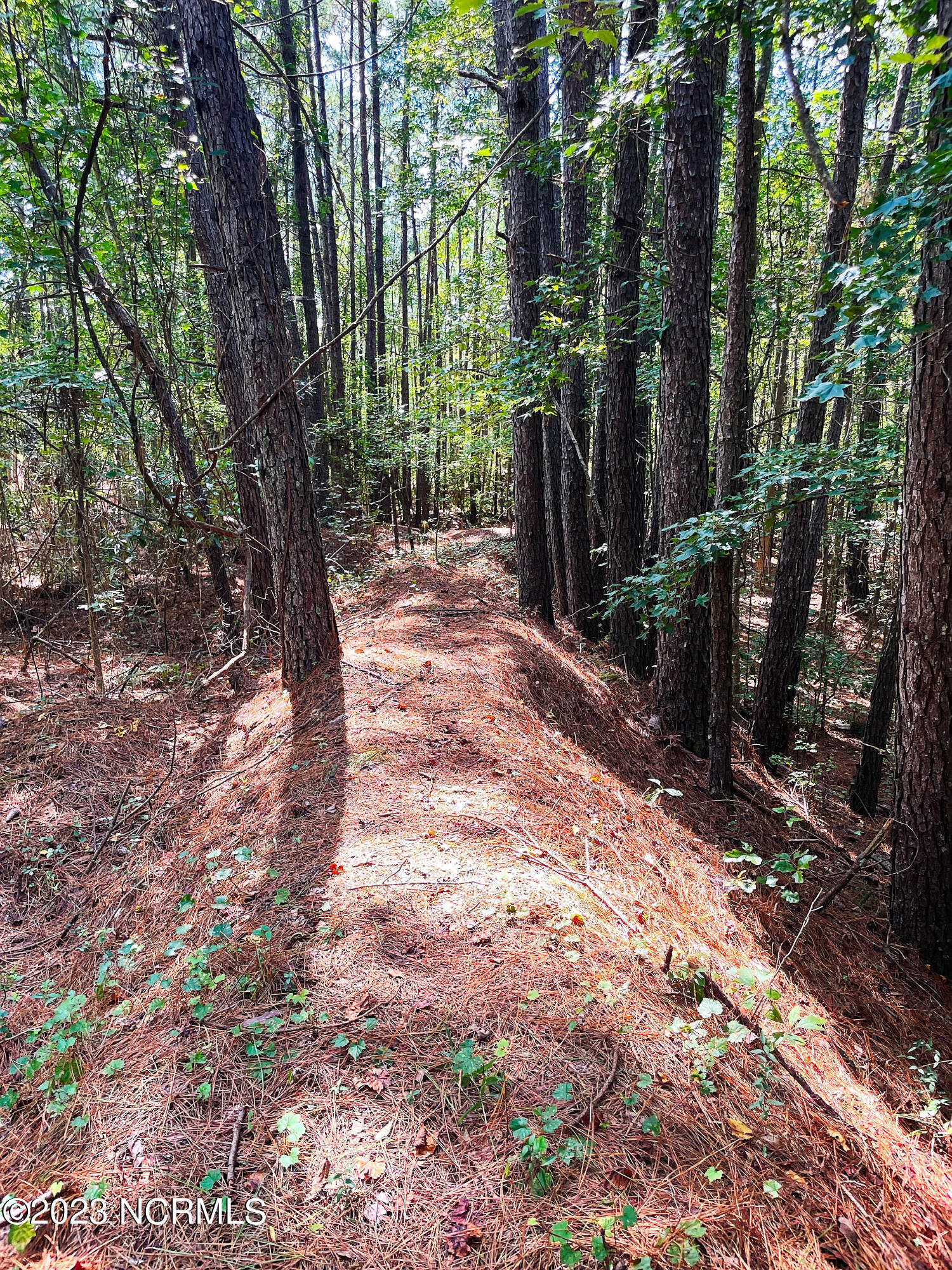 Tbd Browns Creek Church Road Elizabethtown, NC 28337 - Photo 28 of 51 BladenNC_0023