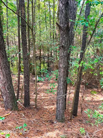 $25,000 | Tbd Browns Creek Church Road, Elizabethtown, NC 28337