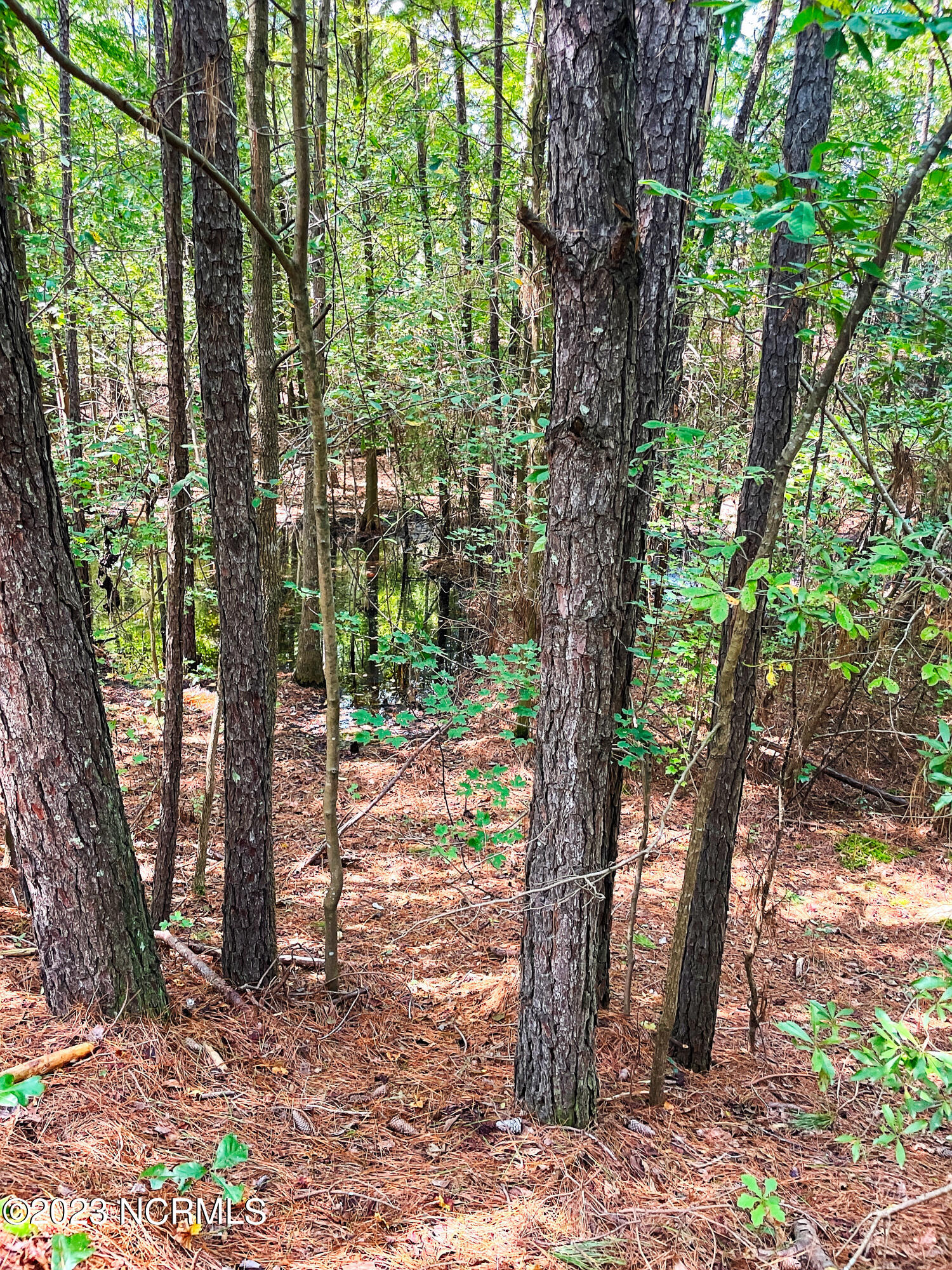 Tbd Browns Creek Church Road Elizabethtown, NC 28337 - Photo 29 of 51 BladenNC_0022