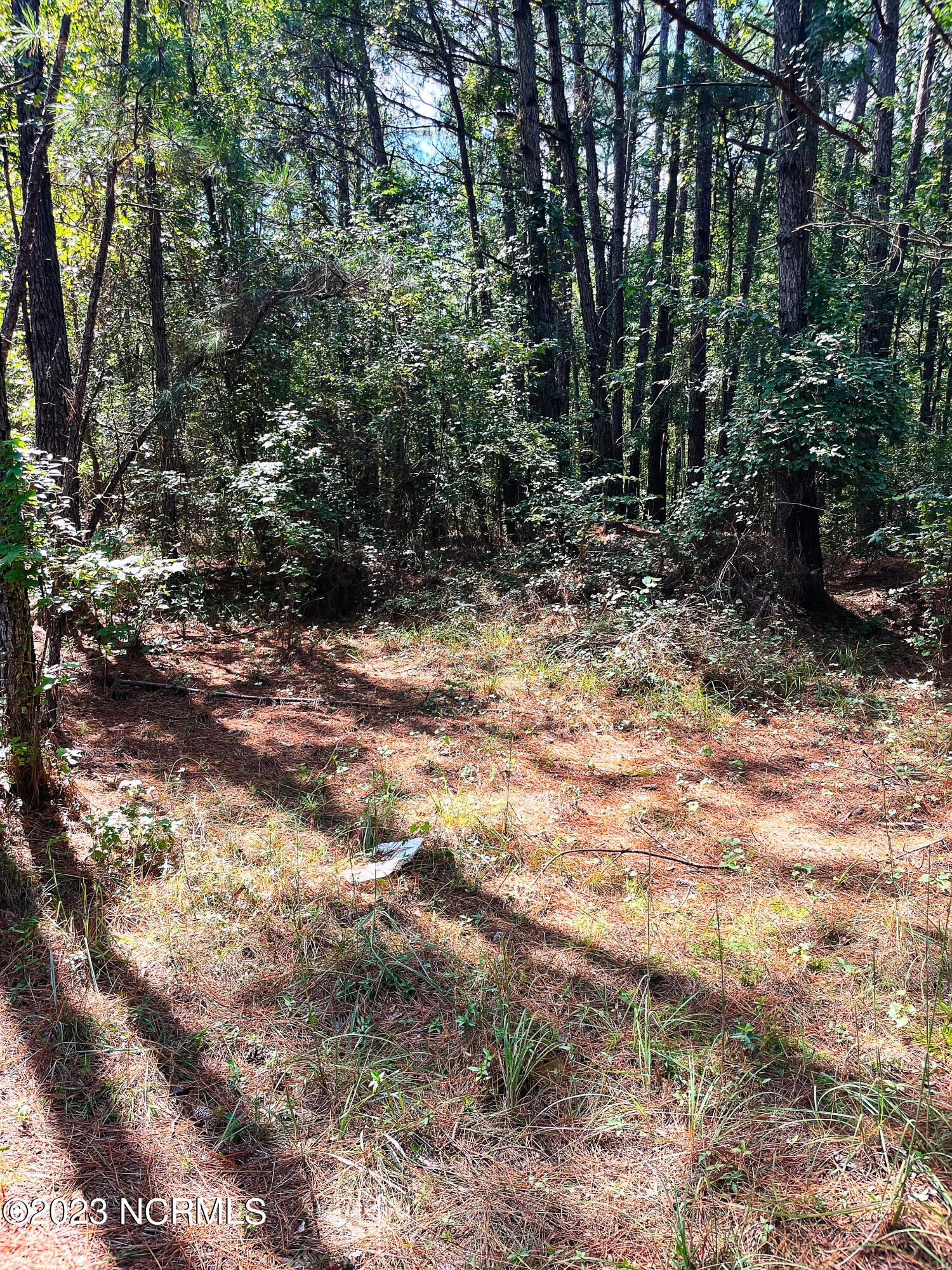 Tbd Browns Creek Church Road Elizabethtown, NC 28337 - Photo 30 of 51 BladenNC_0021