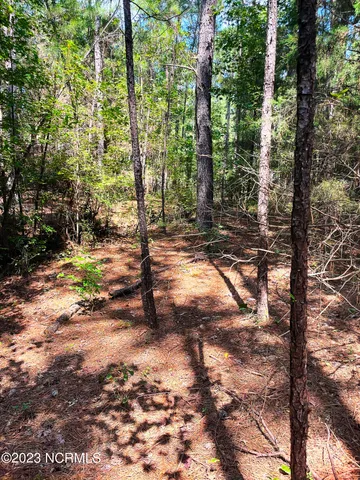 $25,000 | Tbd Browns Creek Church Road, Elizabethtown, NC 28337