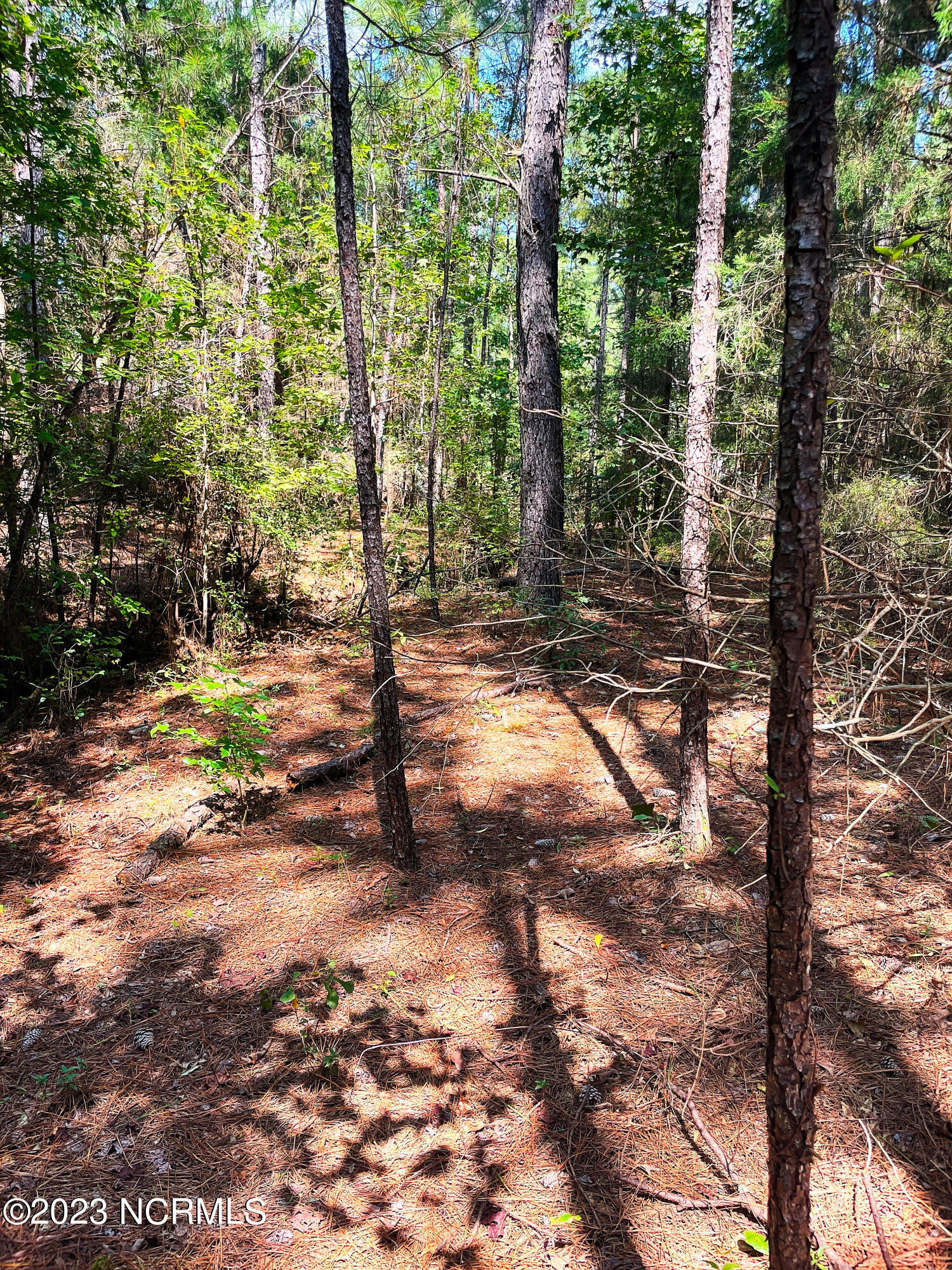 Tbd Browns Creek Church Road Elizabethtown, NC 28337 - Photo 32 of 51 BladenNC_0019