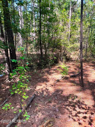$25,000 | Tbd Browns Creek Church Road, Elizabethtown, NC 28337