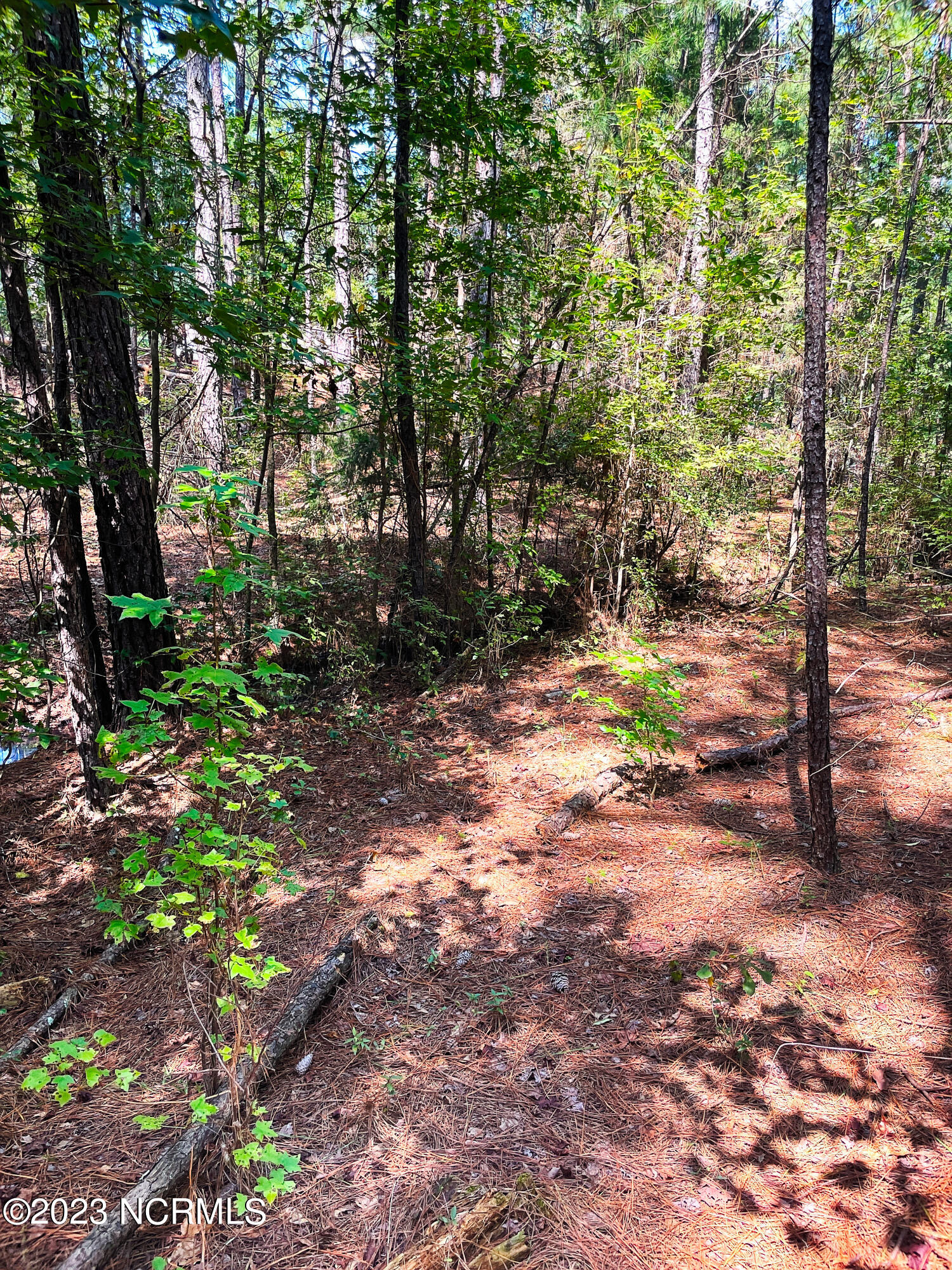 Tbd Browns Creek Church Road Elizabethtown, NC 28337 - Photo 33 of 51 BladenNC_0018