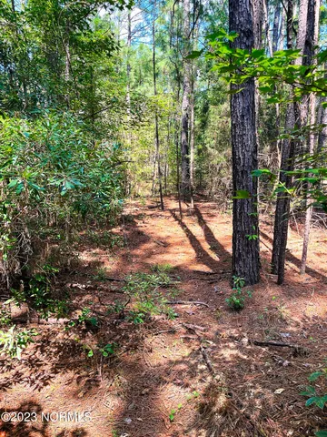 $25,000 | Tbd Browns Creek Church Road, Elizabethtown, NC 28337