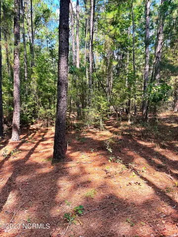 $25,000 | Tbd Browns Creek Church Road, Elizabethtown, NC 28337