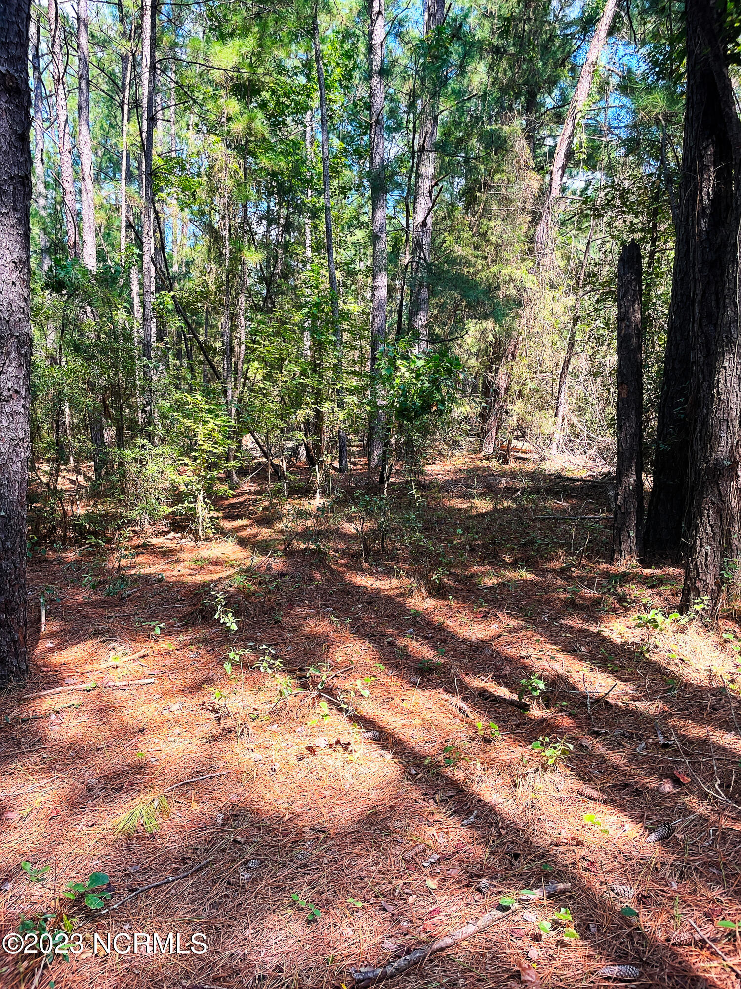 Tbd Browns Creek Church Road Elizabethtown, NC 28337 - Photo 37 of 51 BladenNC_0014