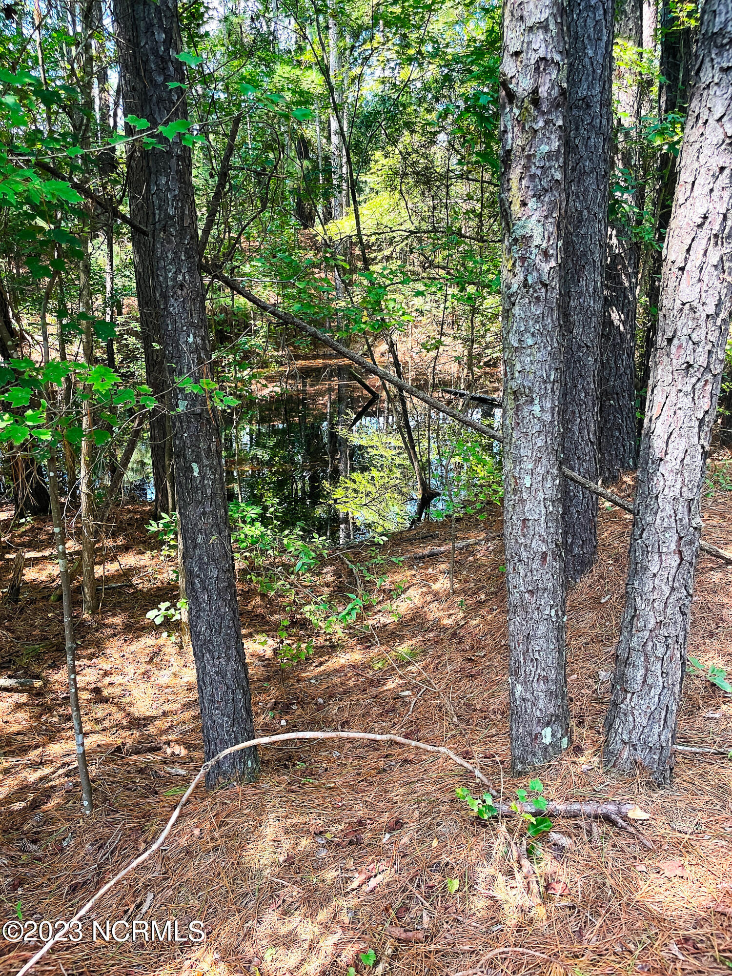 Tbd Browns Creek Church Road Elizabethtown, NC 28337 - Photo 38 of 51 BladenNC_0013