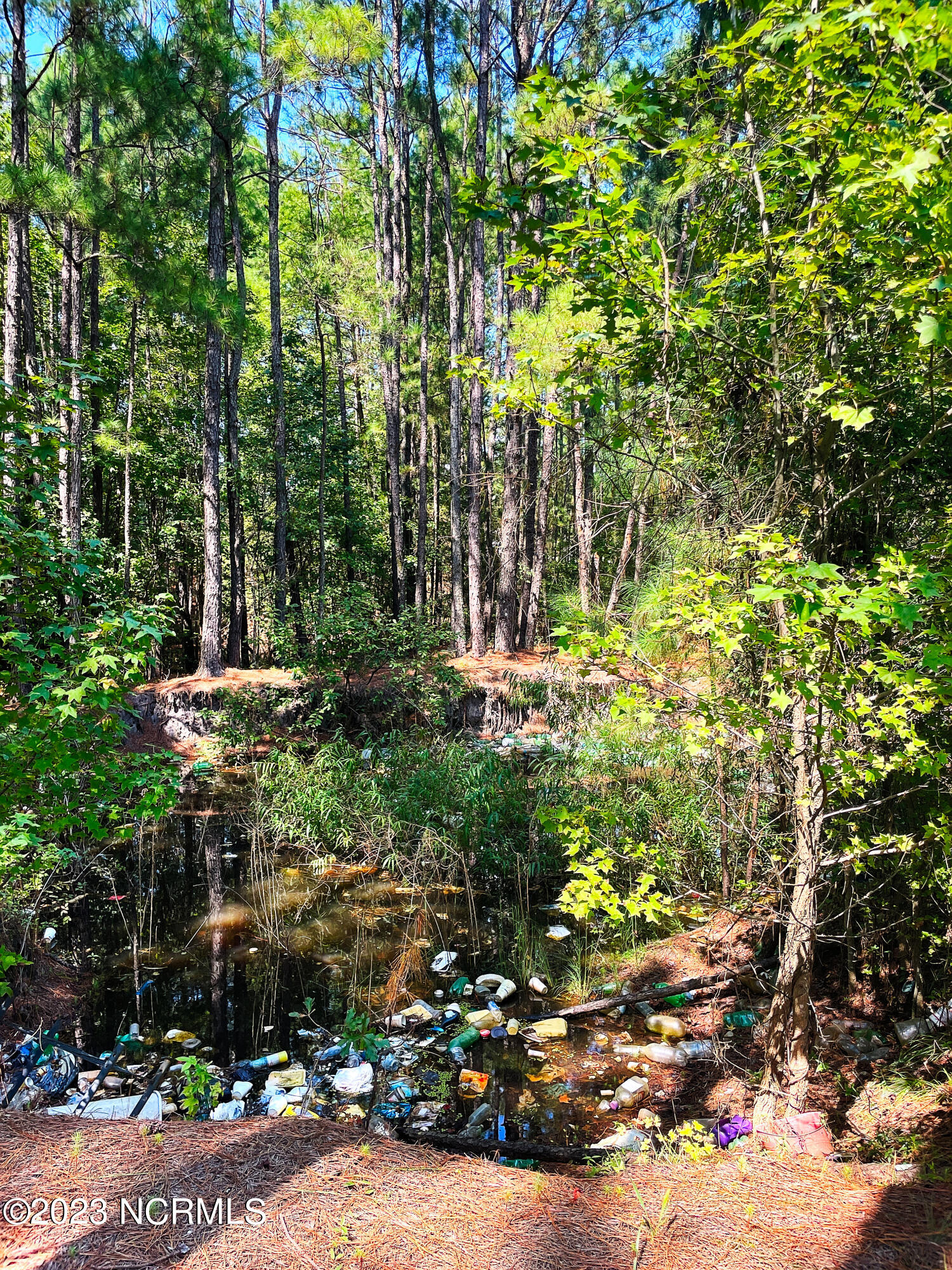 Tbd Browns Creek Church Road Elizabethtown, NC 28337 - Photo 41 of 51 BladenNC_0010