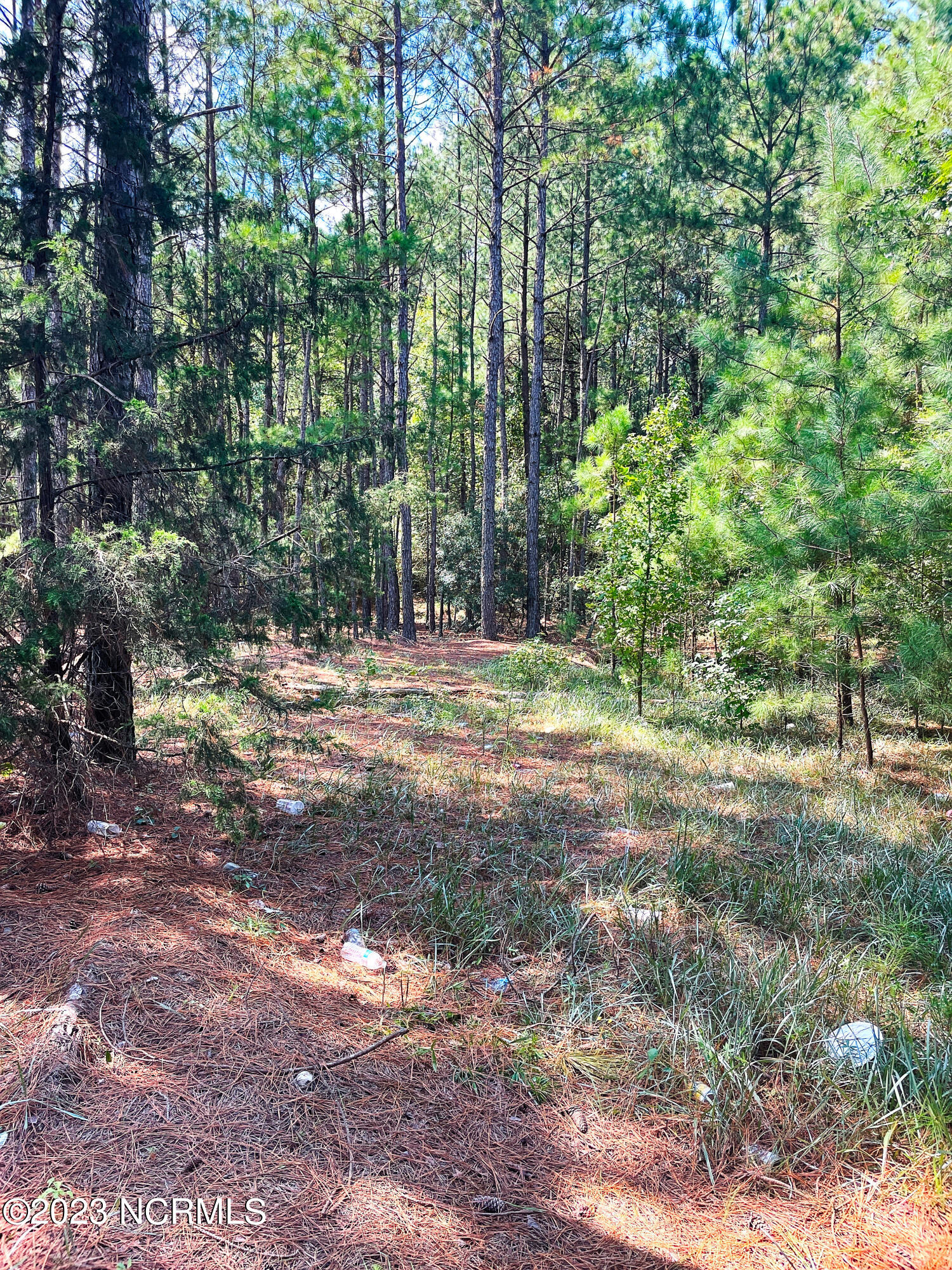 Tbd Browns Creek Church Road Elizabethtown, NC 28337 - Photo 45 of 51 BladenNC_0006