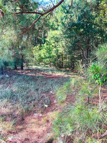 $25,000 | Tbd Browns Creek Church Road, Elizabethtown, NC 28337