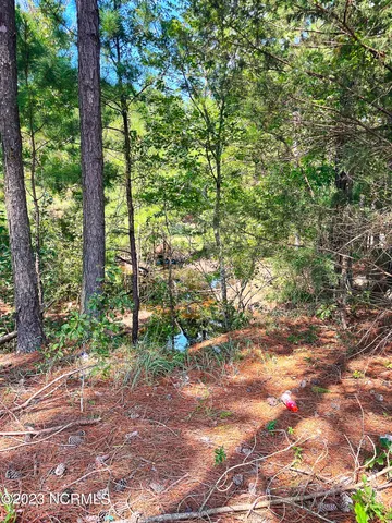 $25,000 | Tbd Browns Creek Church Road, Elizabethtown, NC 28337