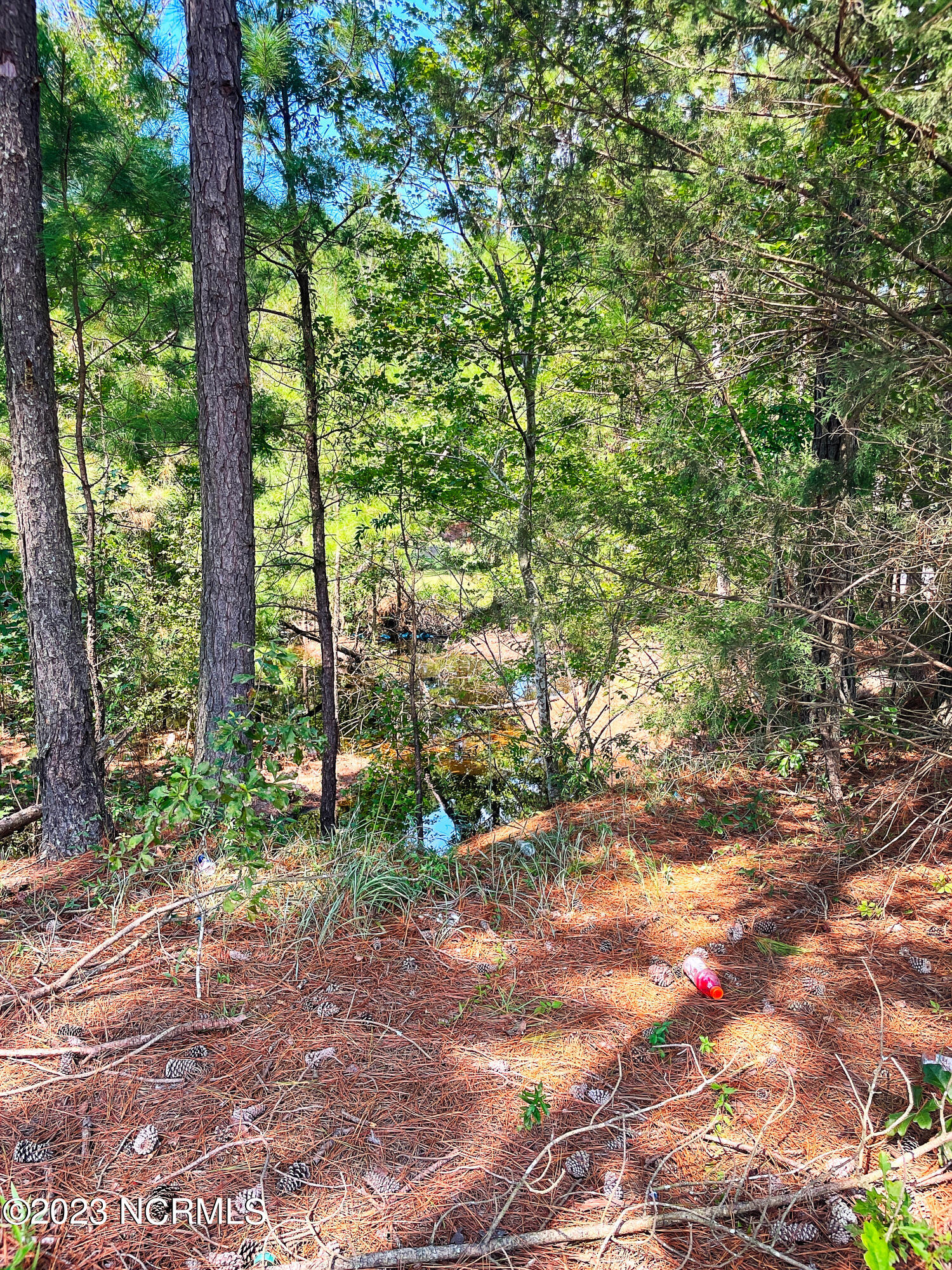 Tbd Browns Creek Church Road Elizabethtown, NC 28337 - Photo 47 of 51 BladenNC_0004