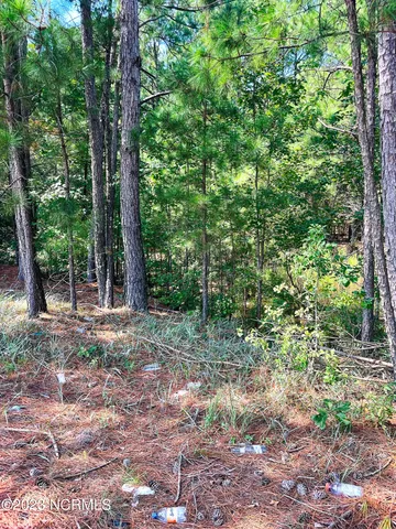 $25,000 | Tbd Browns Creek Church Road, Elizabethtown, NC 28337