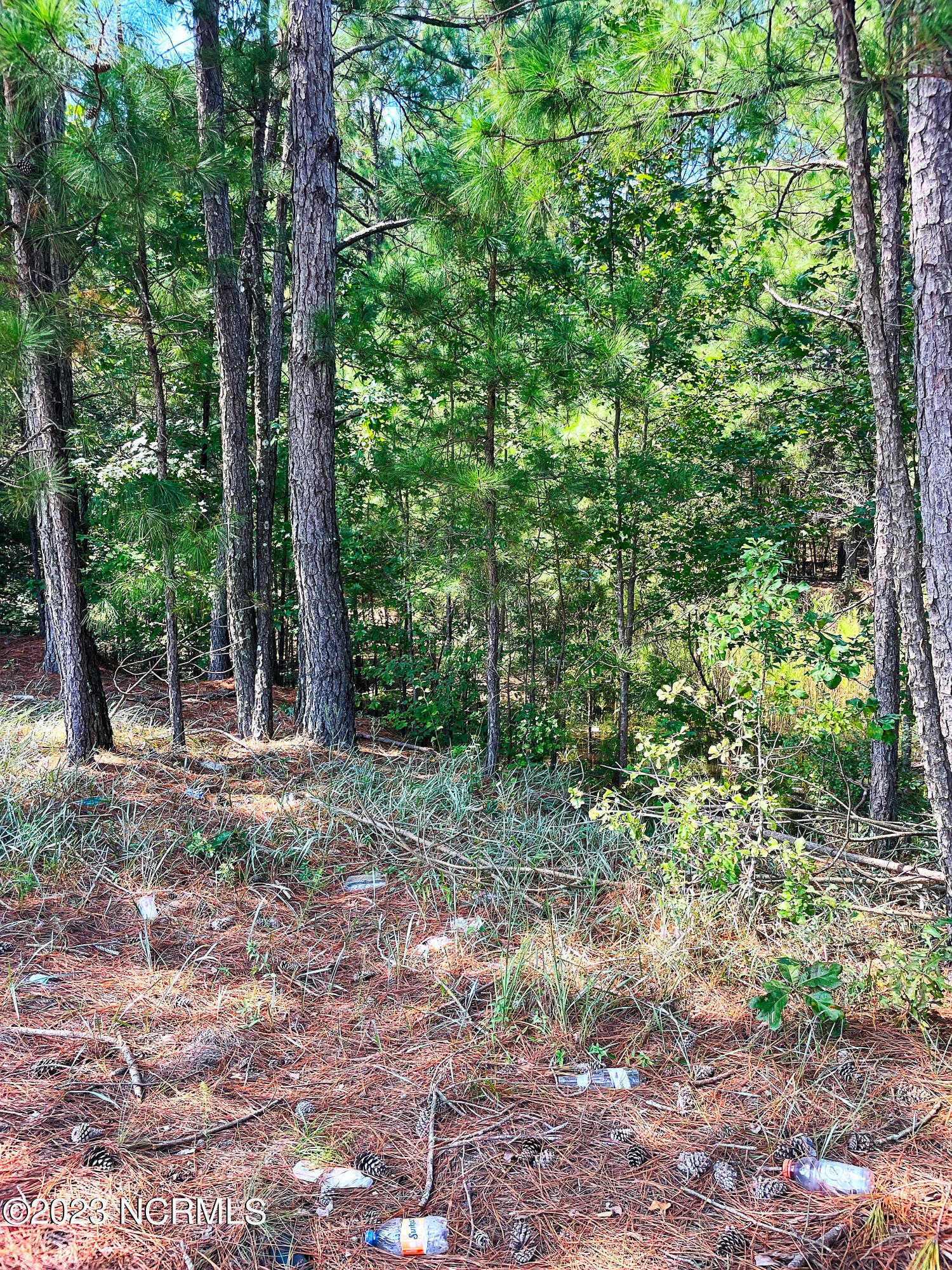 Tbd Browns Creek Church Road Elizabethtown, NC 28337 - Photo 48 of 51 BladenNC_0003