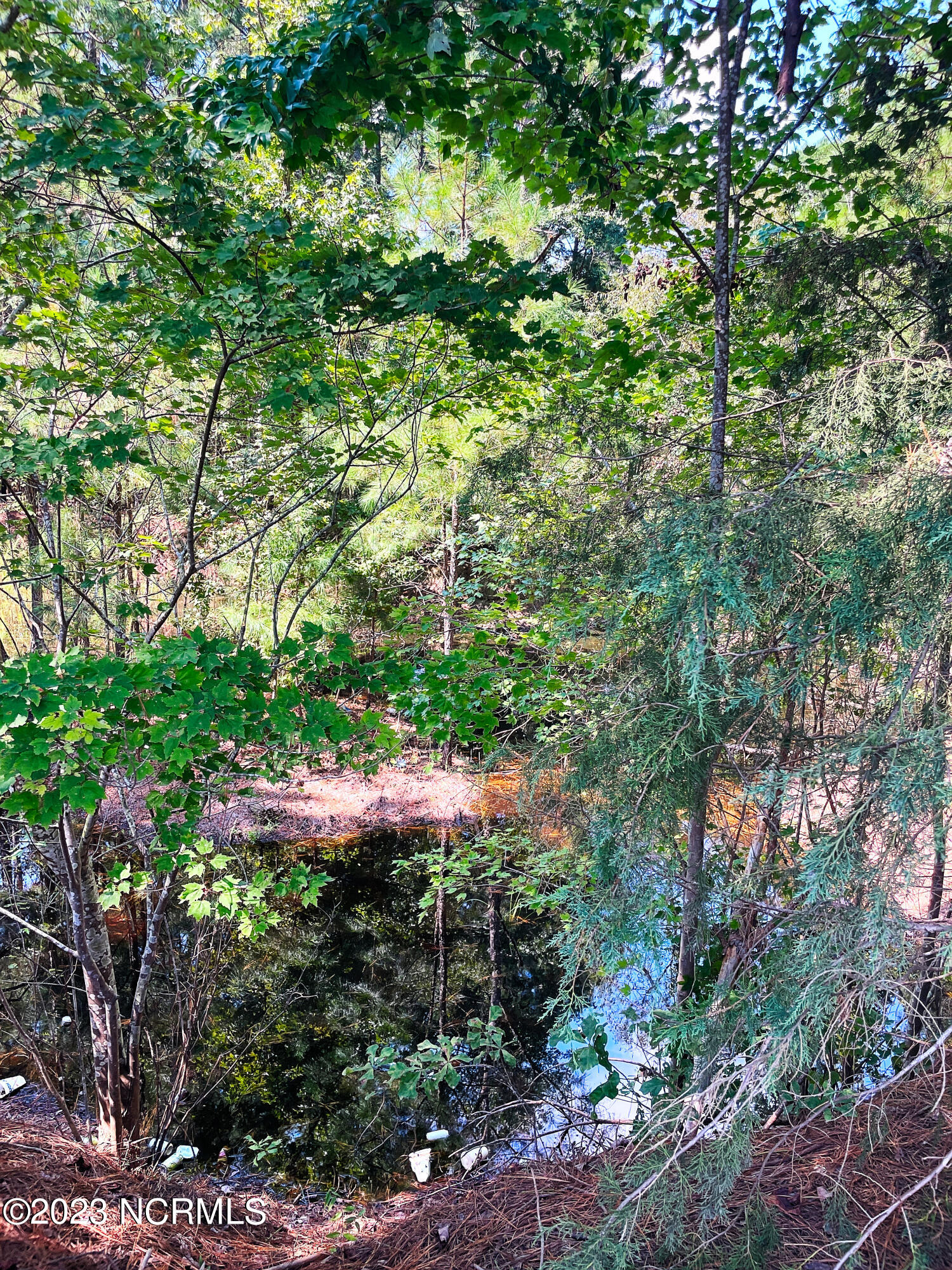 Tbd Browns Creek Church Road Elizabethtown, NC 28337 - Photo 49 of 51 BladenNC_0002