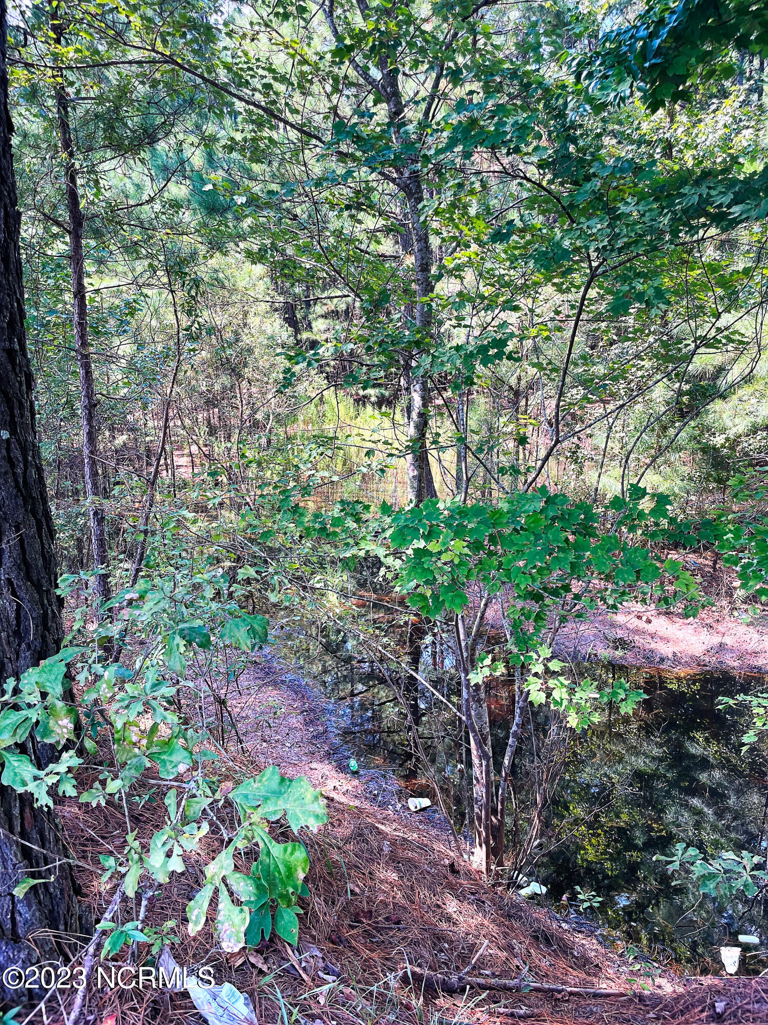 Tbd Browns Creek Church Road Elizabethtown, NC 28337 - Photo 50 of 51 BladenNC_0001