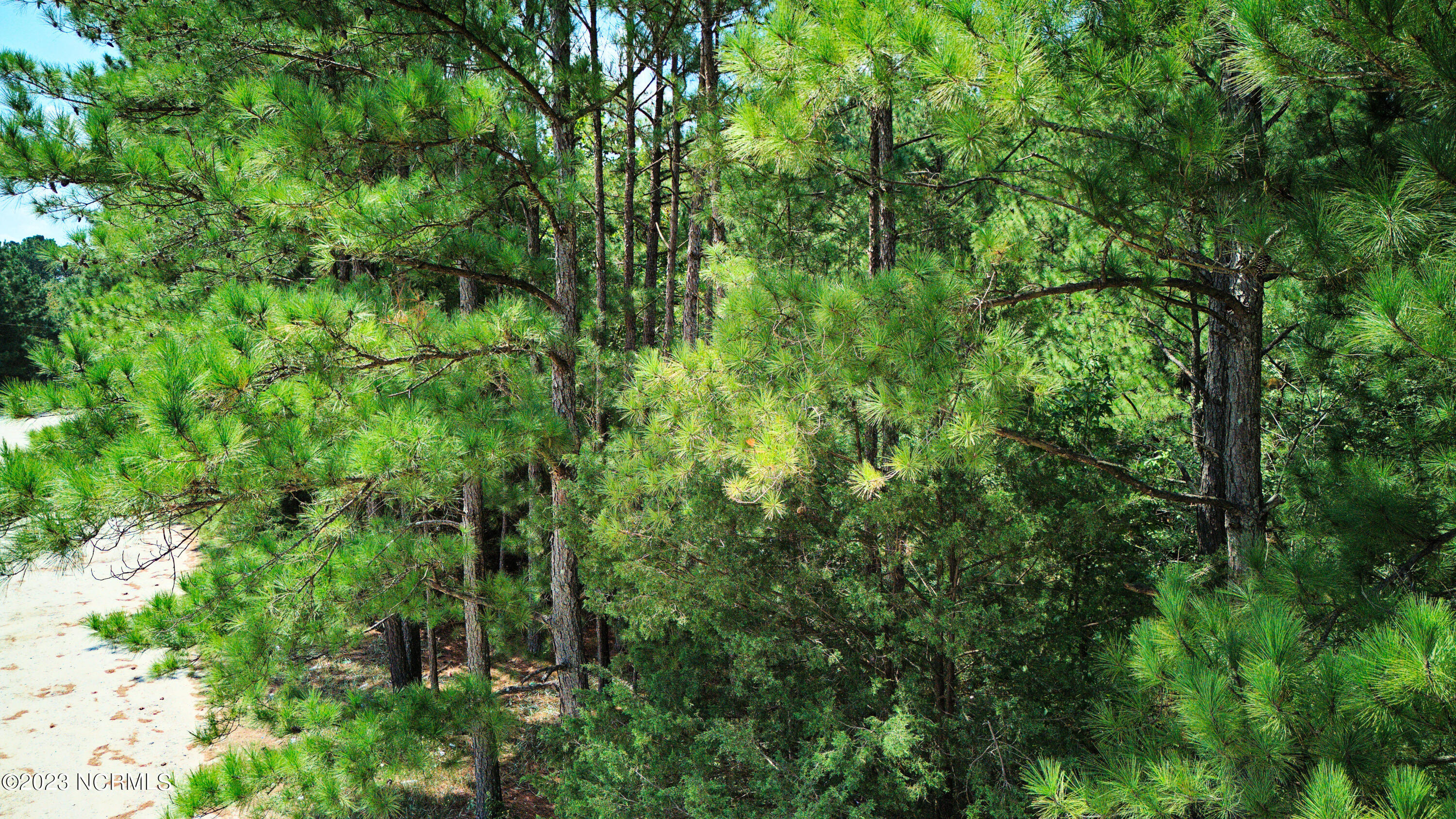 Tbd Browns Creek Church Road Elizabethtown, NC 28337 - Photo 51 of 51 15BladenNC