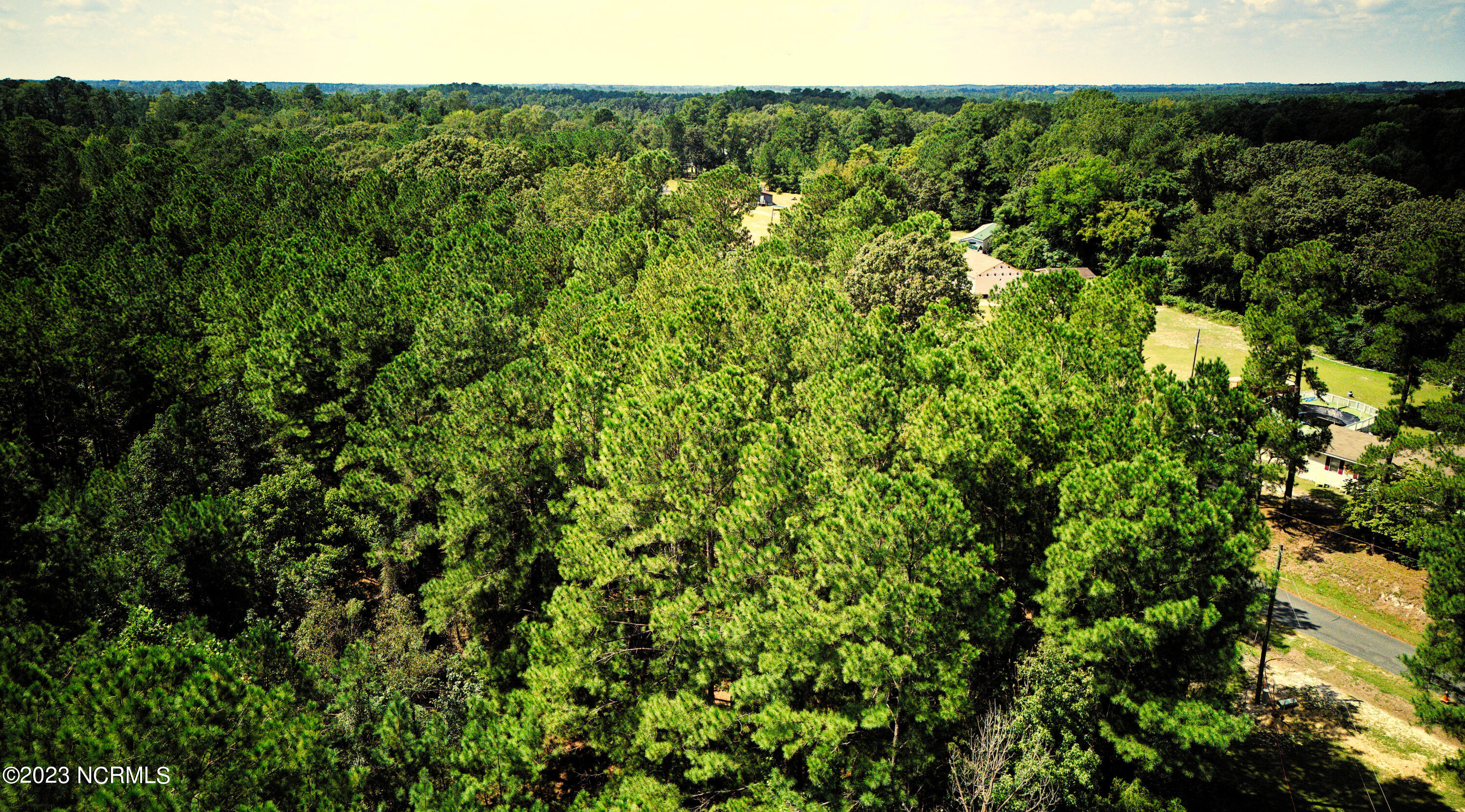 Tbd Browns Creek Church Road Elizabethtown, NC 28337 - Photo 6 of 51 5BladenNC