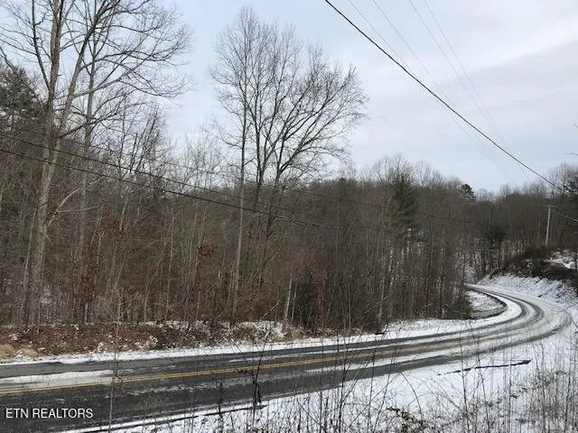 $105,000 | 80-015.00 Buffalo Road, Oneida, TN 37841