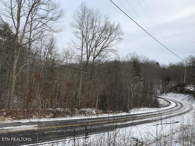 80-015.00 Buffalo Road Oneida, TN 37841 - Photo 2 of 5 IMG_8070