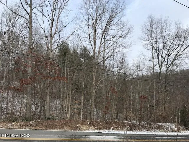 $105,000 | 80-015.00 Buffalo Road, Oneida, TN 37841