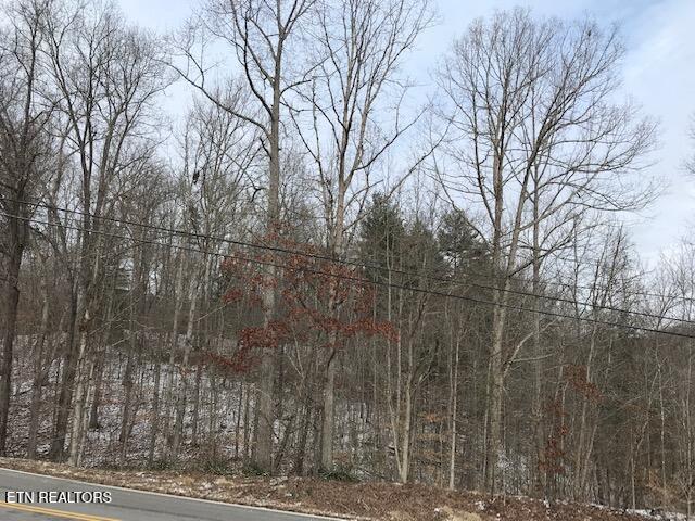 80-015.00 Buffalo Road Oneida, TN 37841 - Photo 4 of 5 IMG_8072