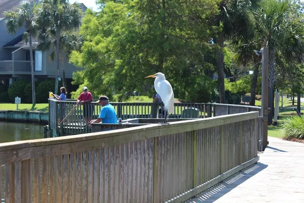 $2,995 | 216 Club Circle, Unit RIVER CLUB, Pawleys Island, SC 29585
